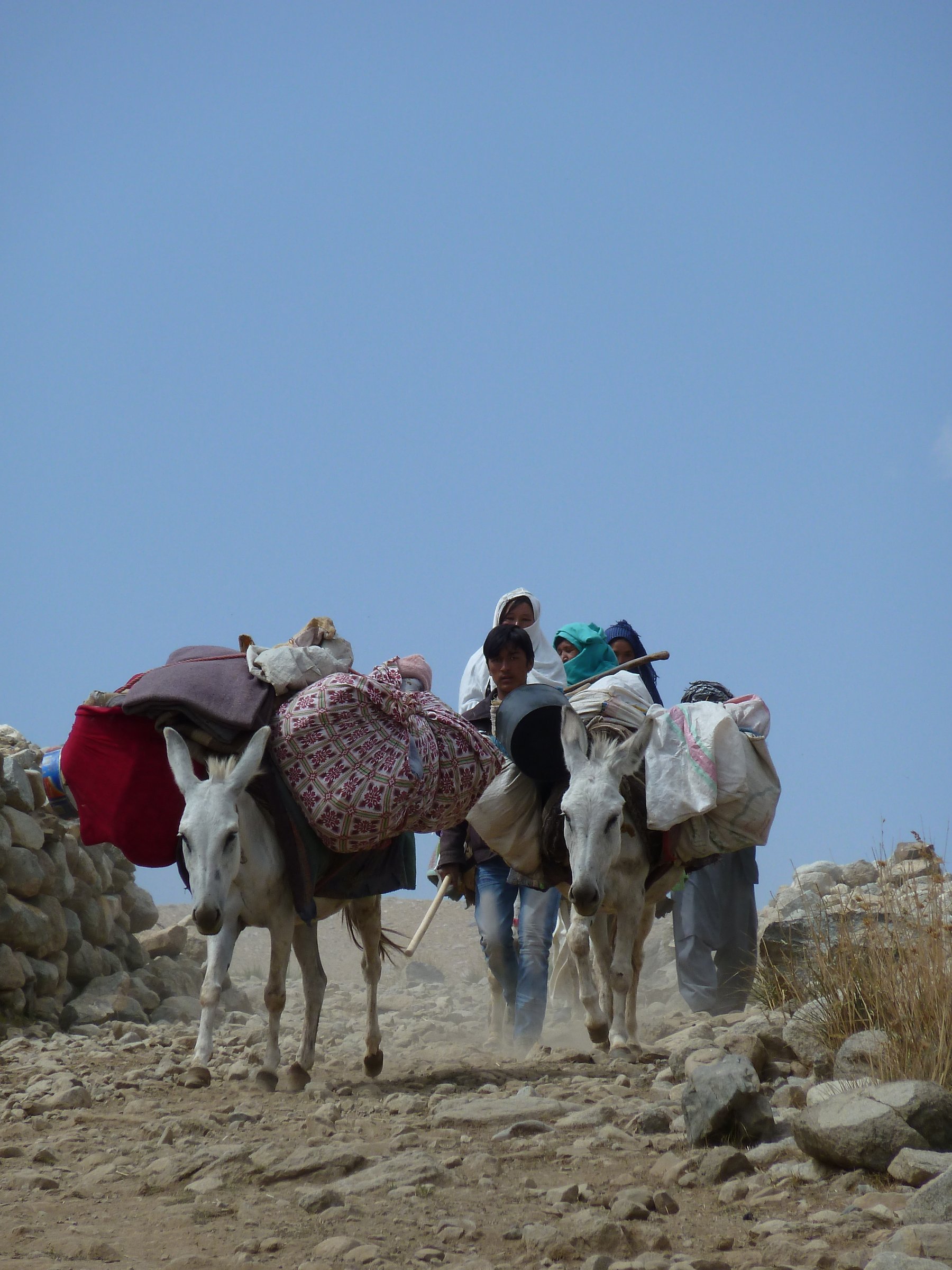 Shepherd in Bamyan area