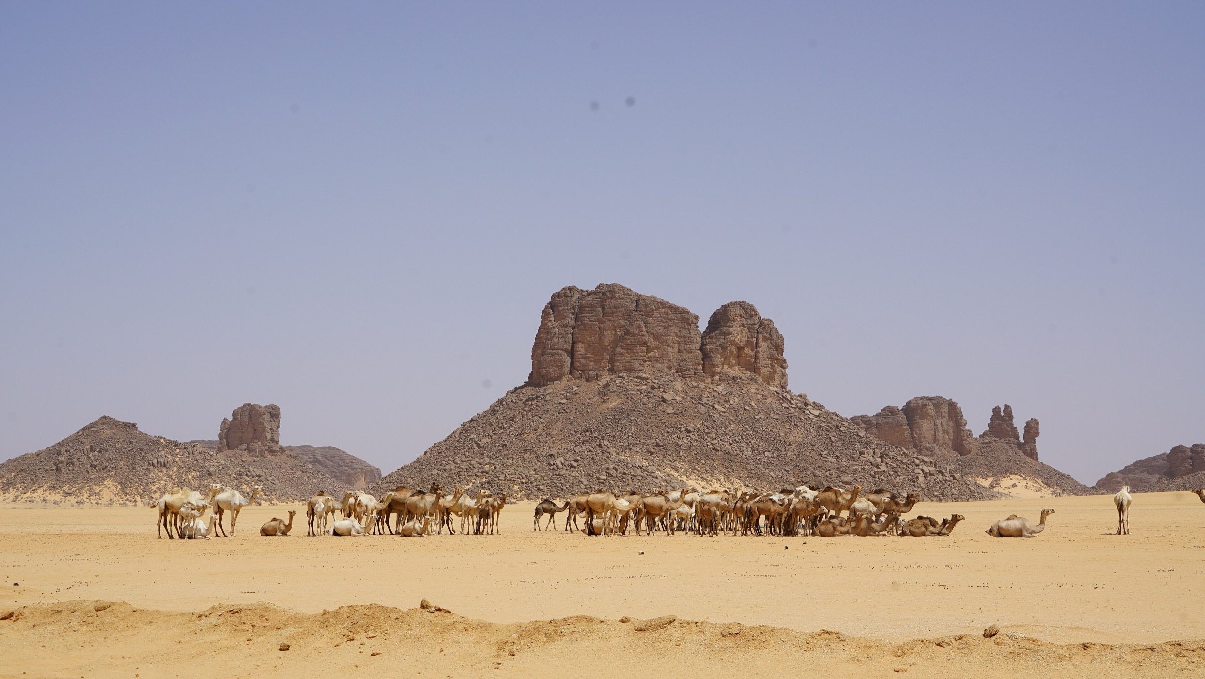 Sandstone landscape of Tassili N'Ajjer National Park, Algeria