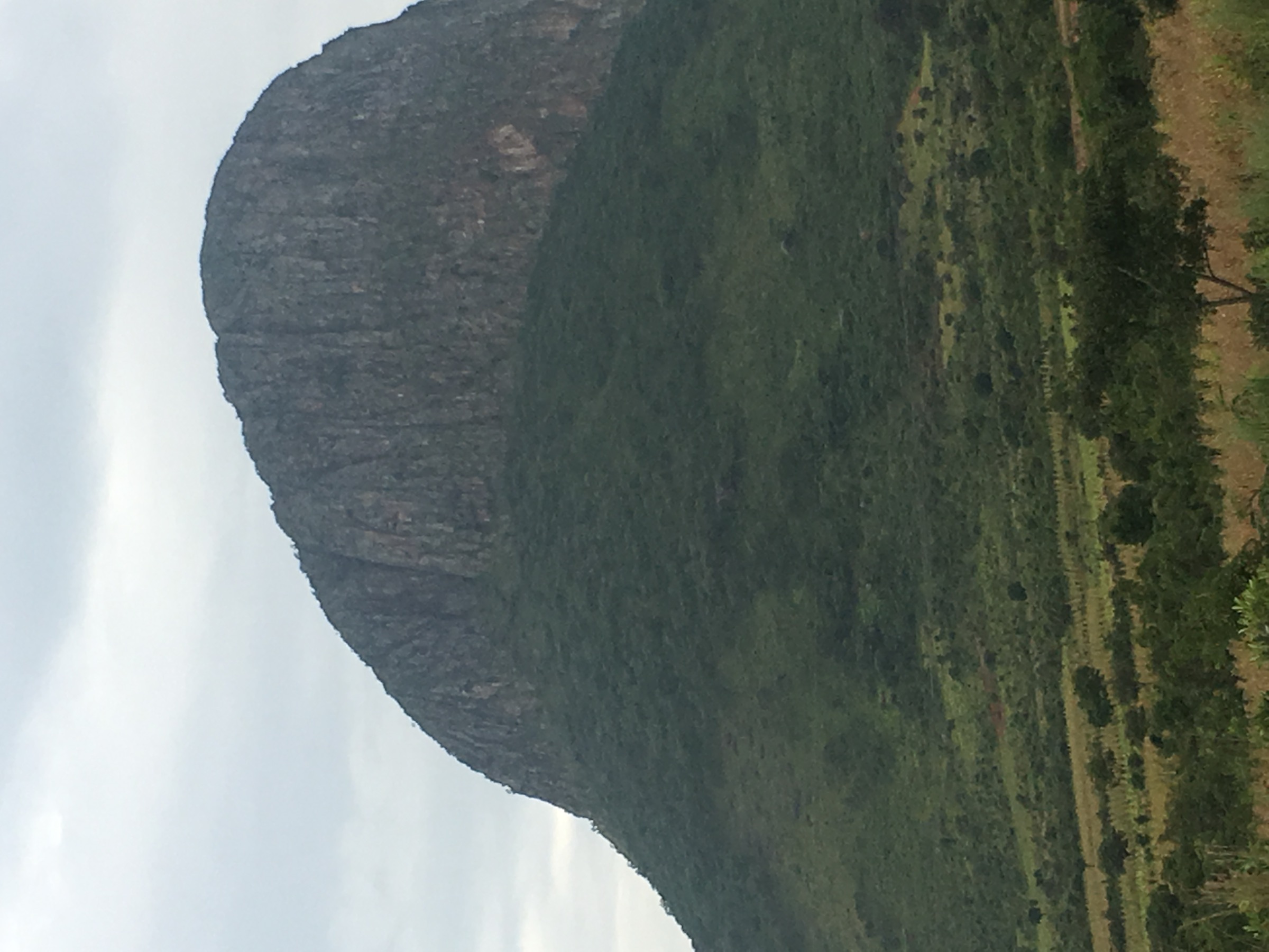 Forêt claire de miombo sur les hautes pentes du plateau Bié–Huambo, représentative du paysage des sources du Cuanza