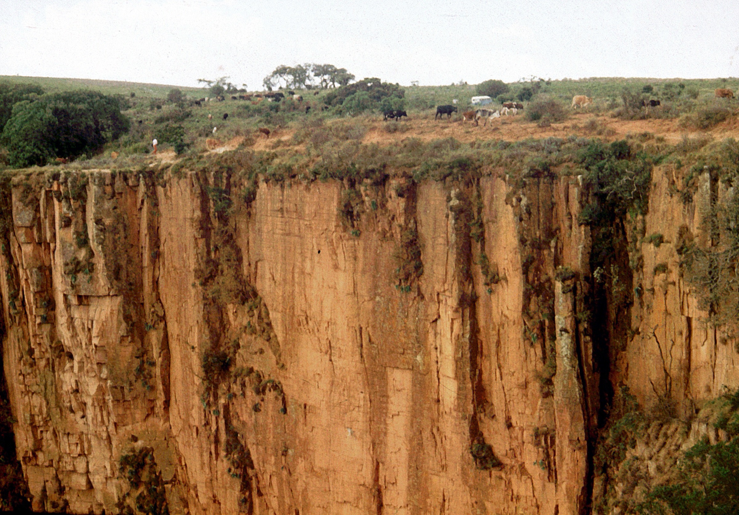 Canyon sur le plateau de Huíla près de Lubango — image représentative des falaises de l'escarpement de la Chela dans la zone de Humpata / Bimbe