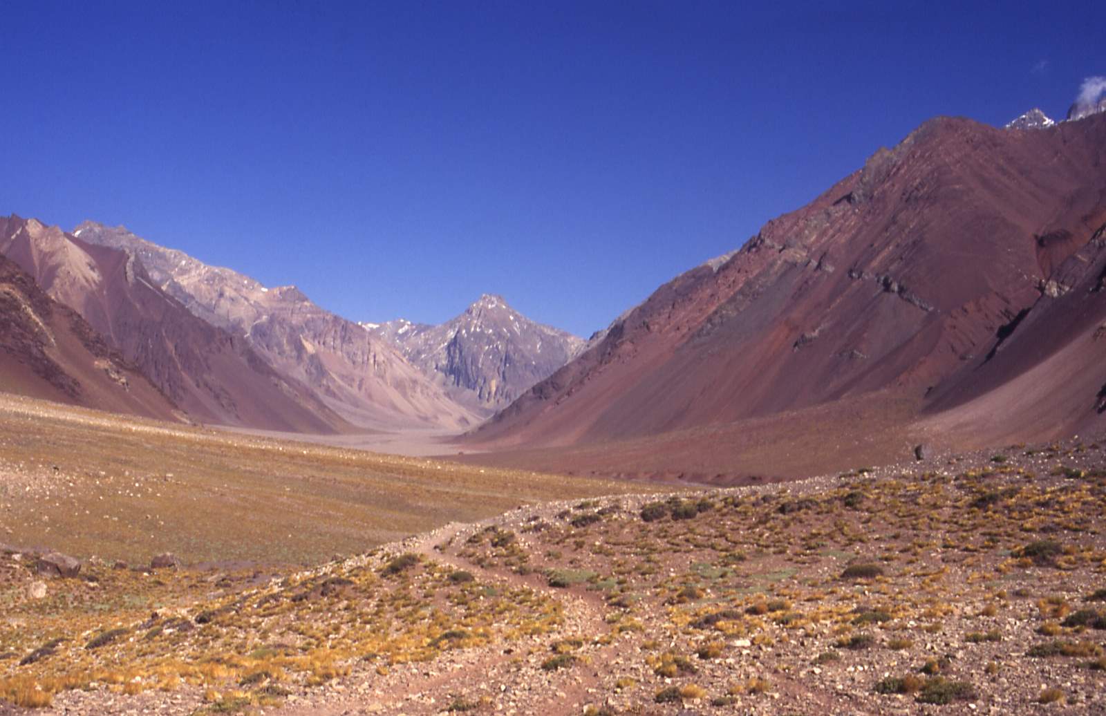 Aconcagua, vallée de Horcones