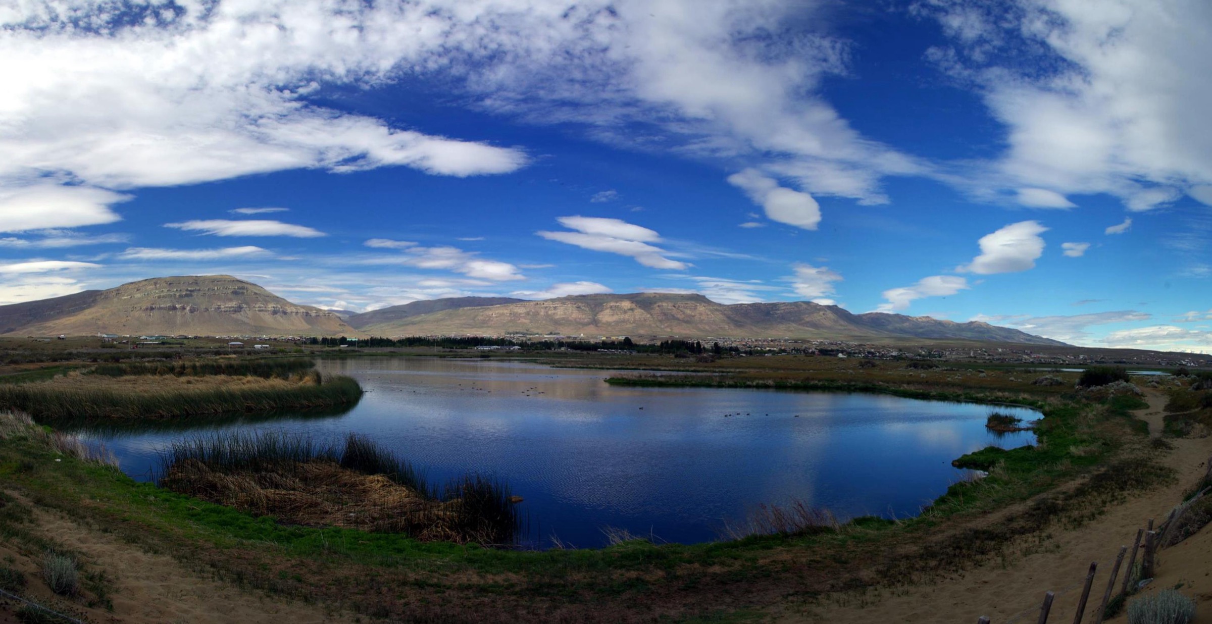 Réserve de zone humide de Laguna Nimez avec El Calafate en arrière-plan