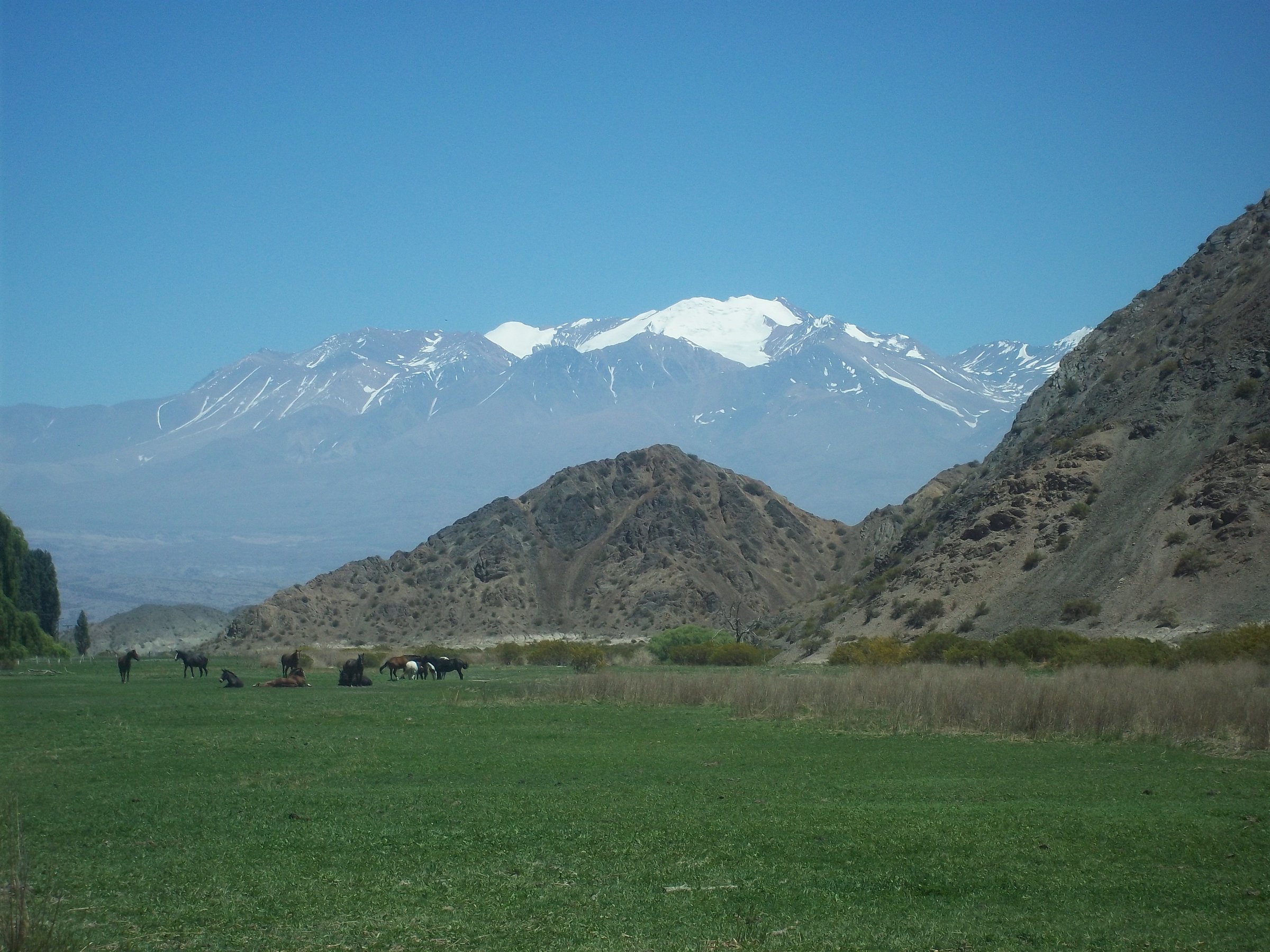 Parque Nacional El Leoncito, Calingasta
