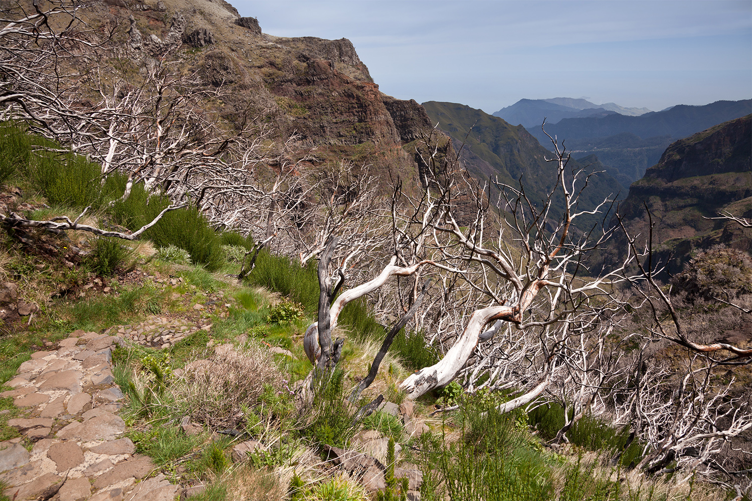 Way between Pico Ruivo and Pico do Arieiro