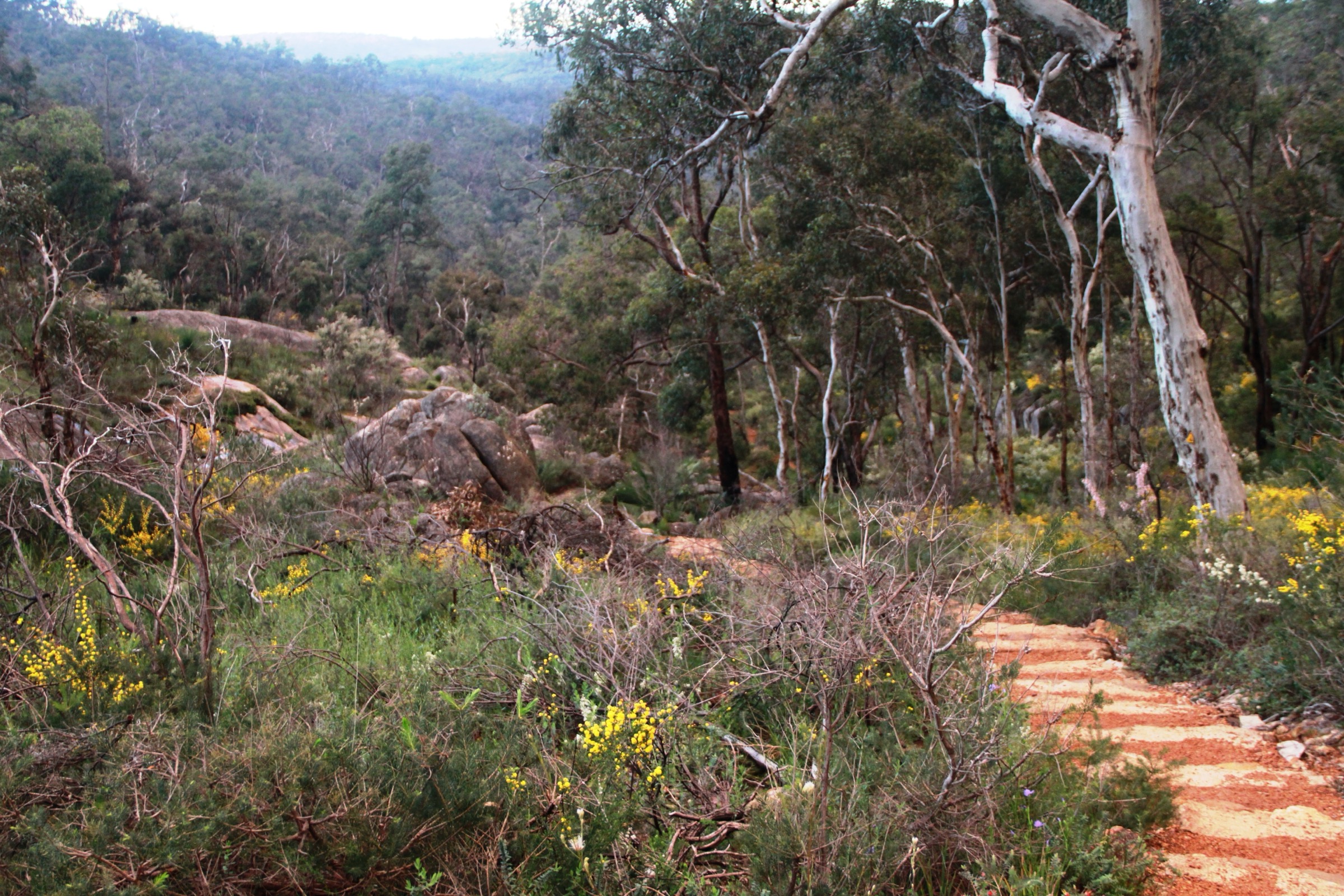 Le Bibbulmun Track passant Rocky Pool dans le parc national de Kalamunda