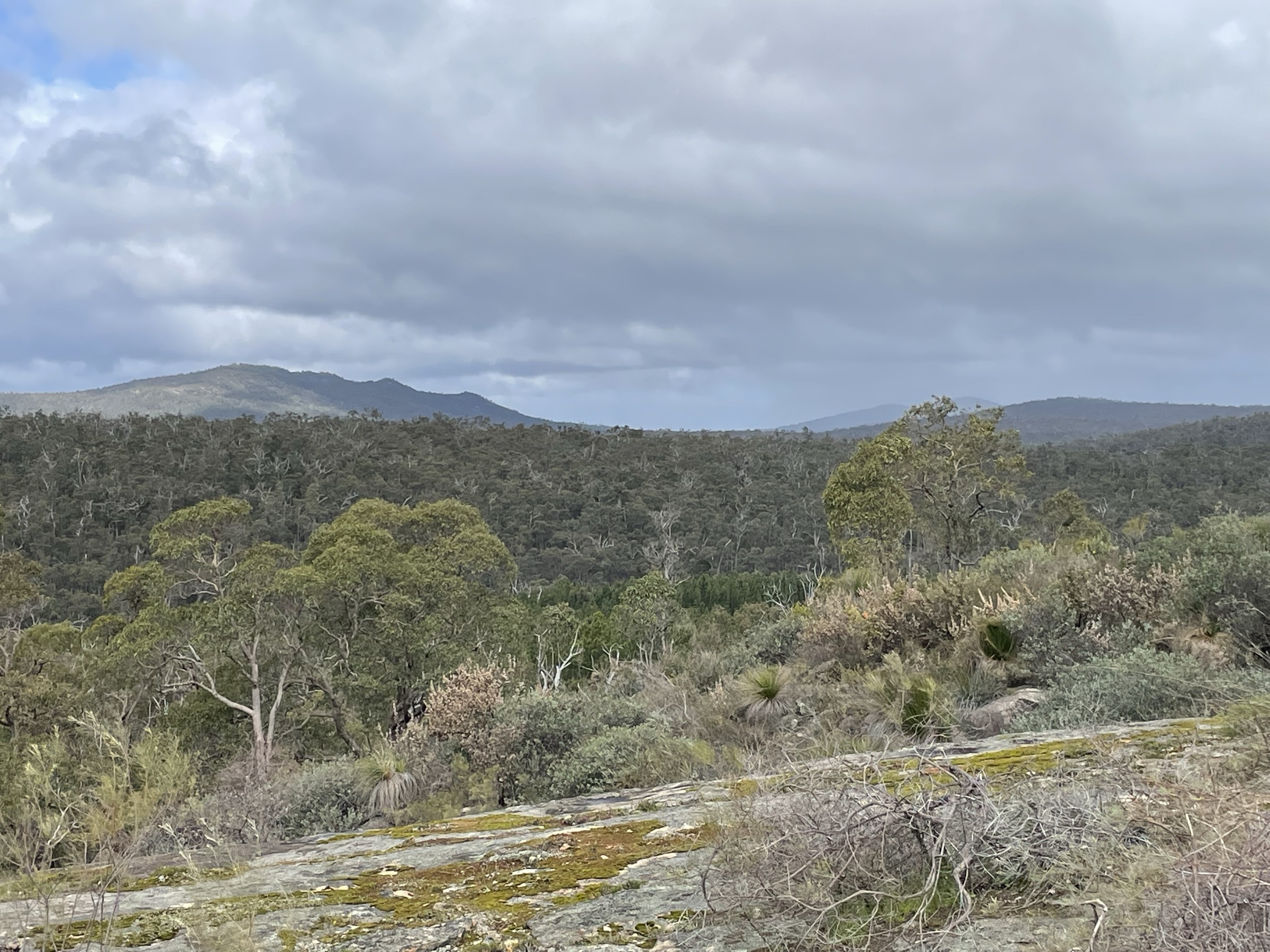 Vue du Darling Scarp depuis Sullivan Rock, près du Bibbulmun Track