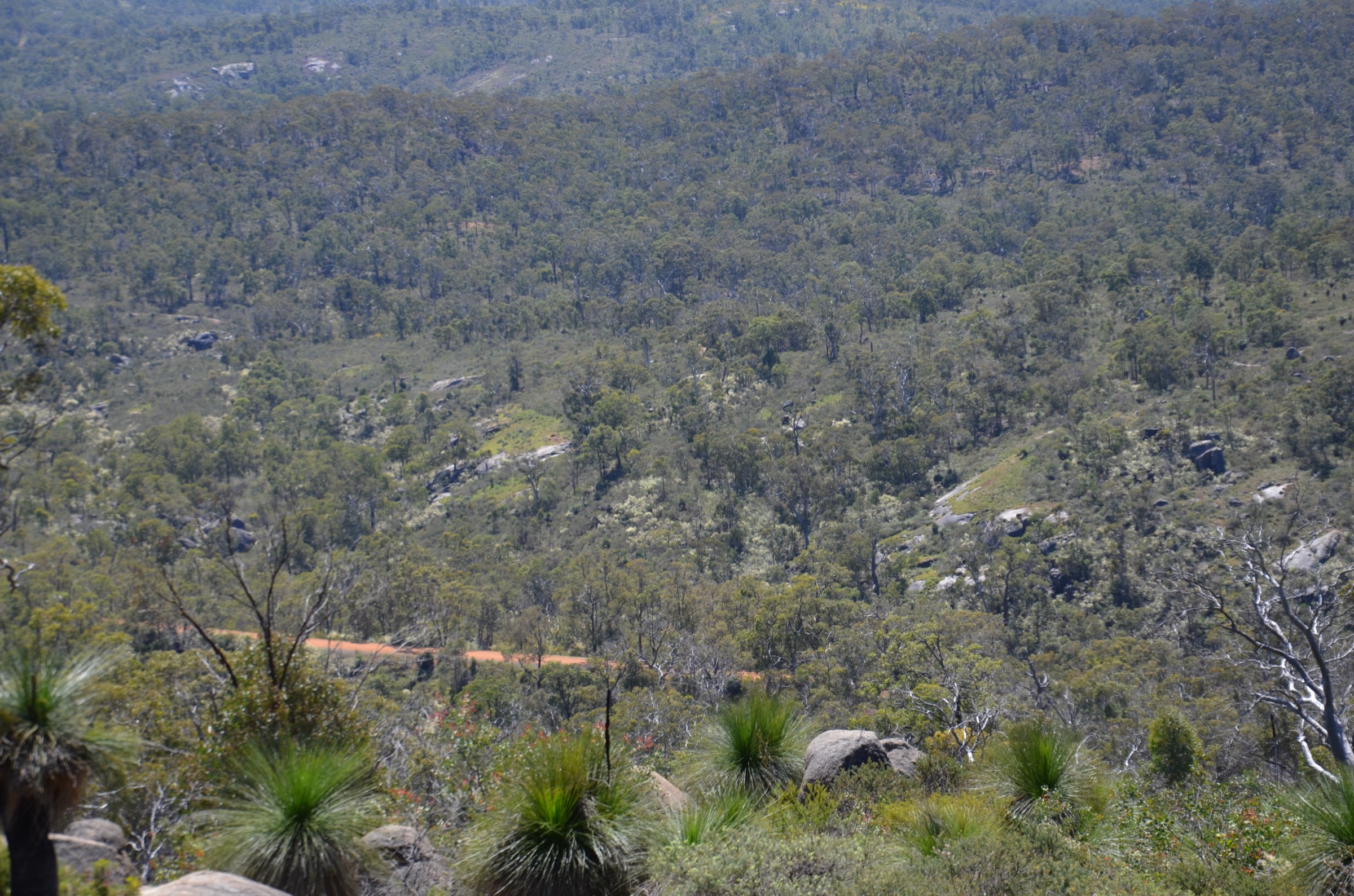 Le Railway Reserves Heritage Trail sur l'ancienne plateforme de l'Eastern Railway à travers le parc national de John Forrest