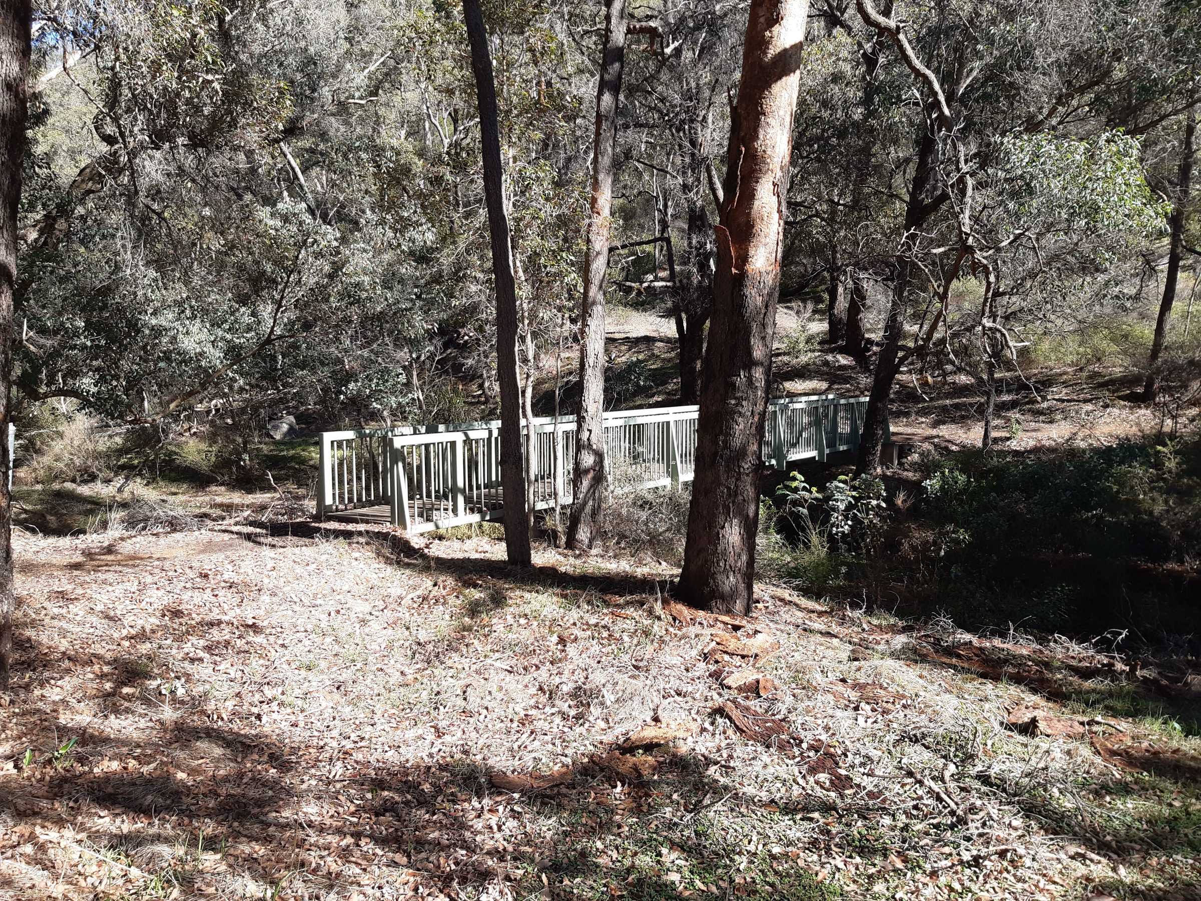 Footbridge over the Serpentine River near Gooralong Brook, on Stacey's Track