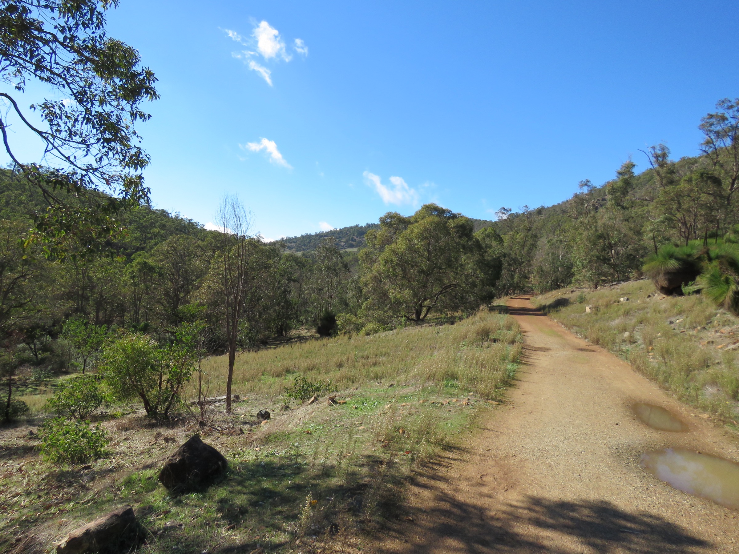 Jarrah forest along the Kitty's Gorge Walk Trail beside the Serpentine River