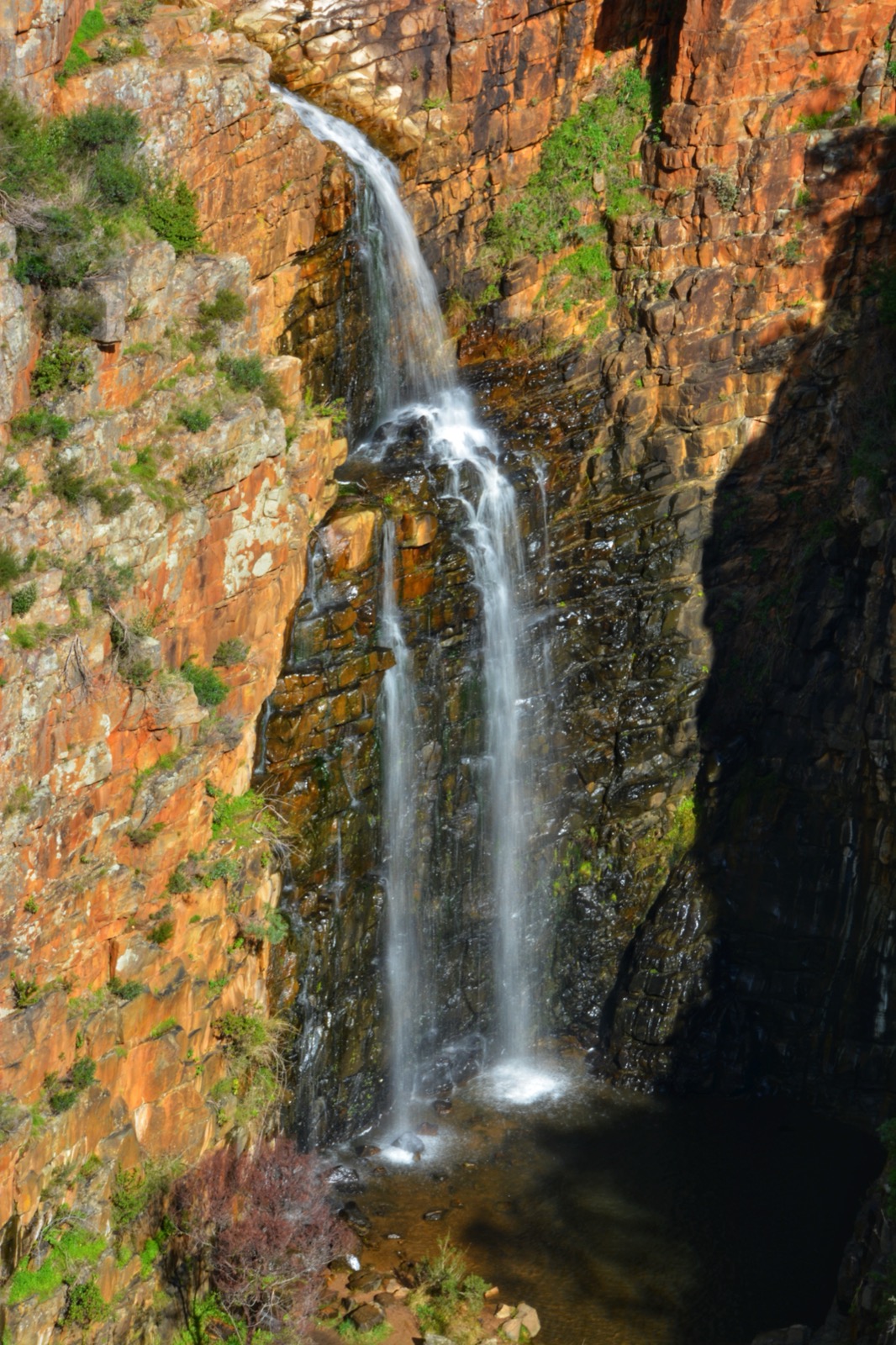 First Falls dans le Morialta Conservation Park