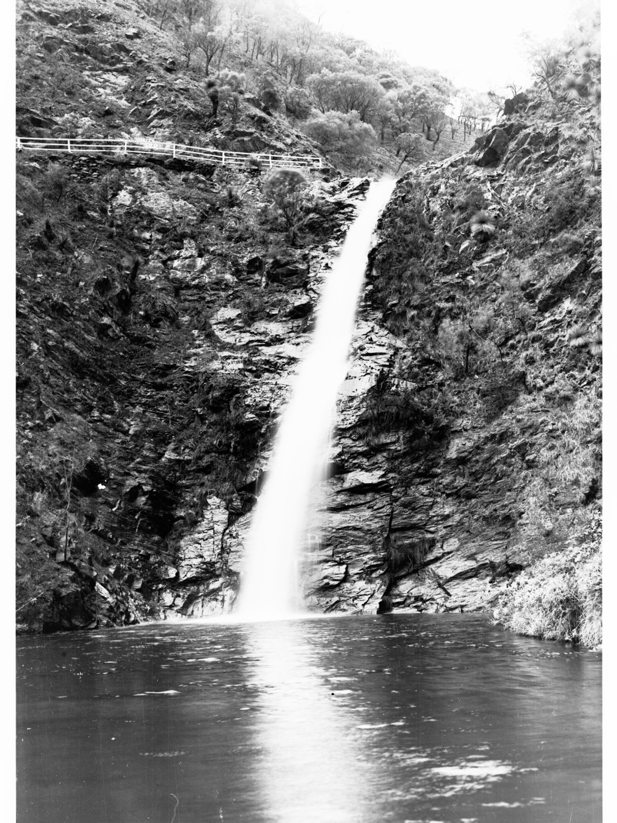 First Falls à Waterfall Gully, point de départ du sentier menant au sommet du Mount Lofty