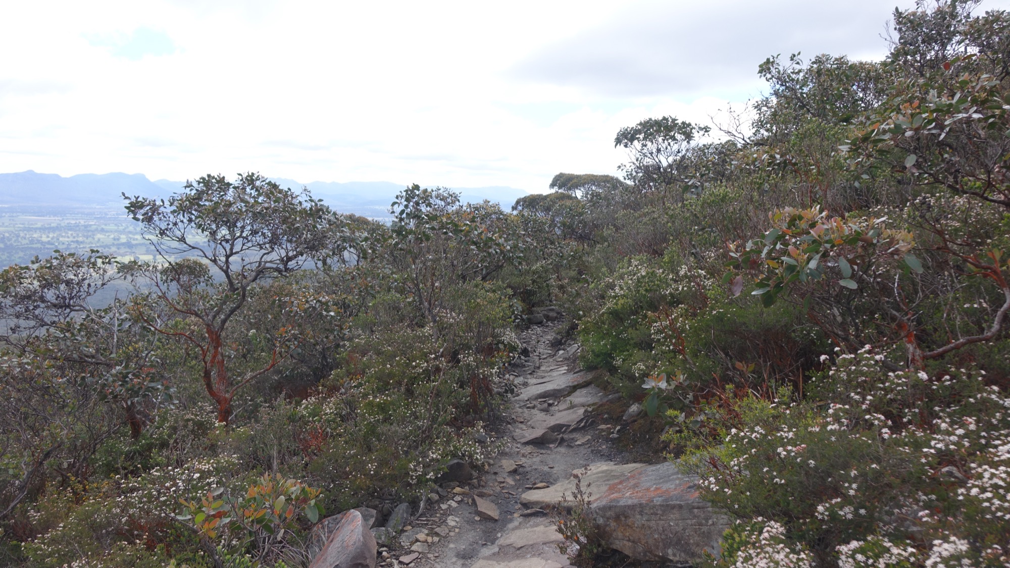 Sentier sur le Mount Abrupt, Grampians sud