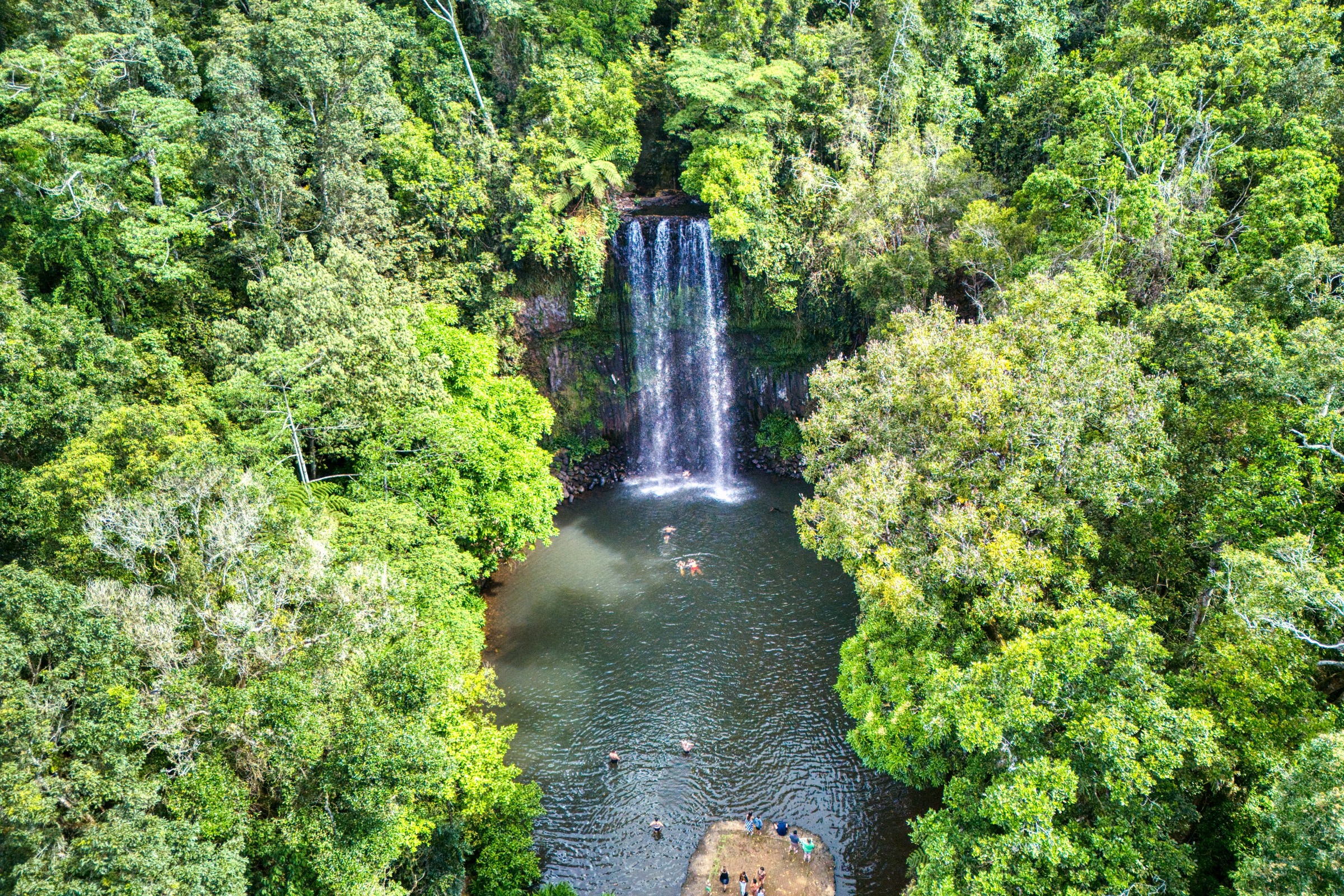Australie — Cairns Highlands : randonnées journée
