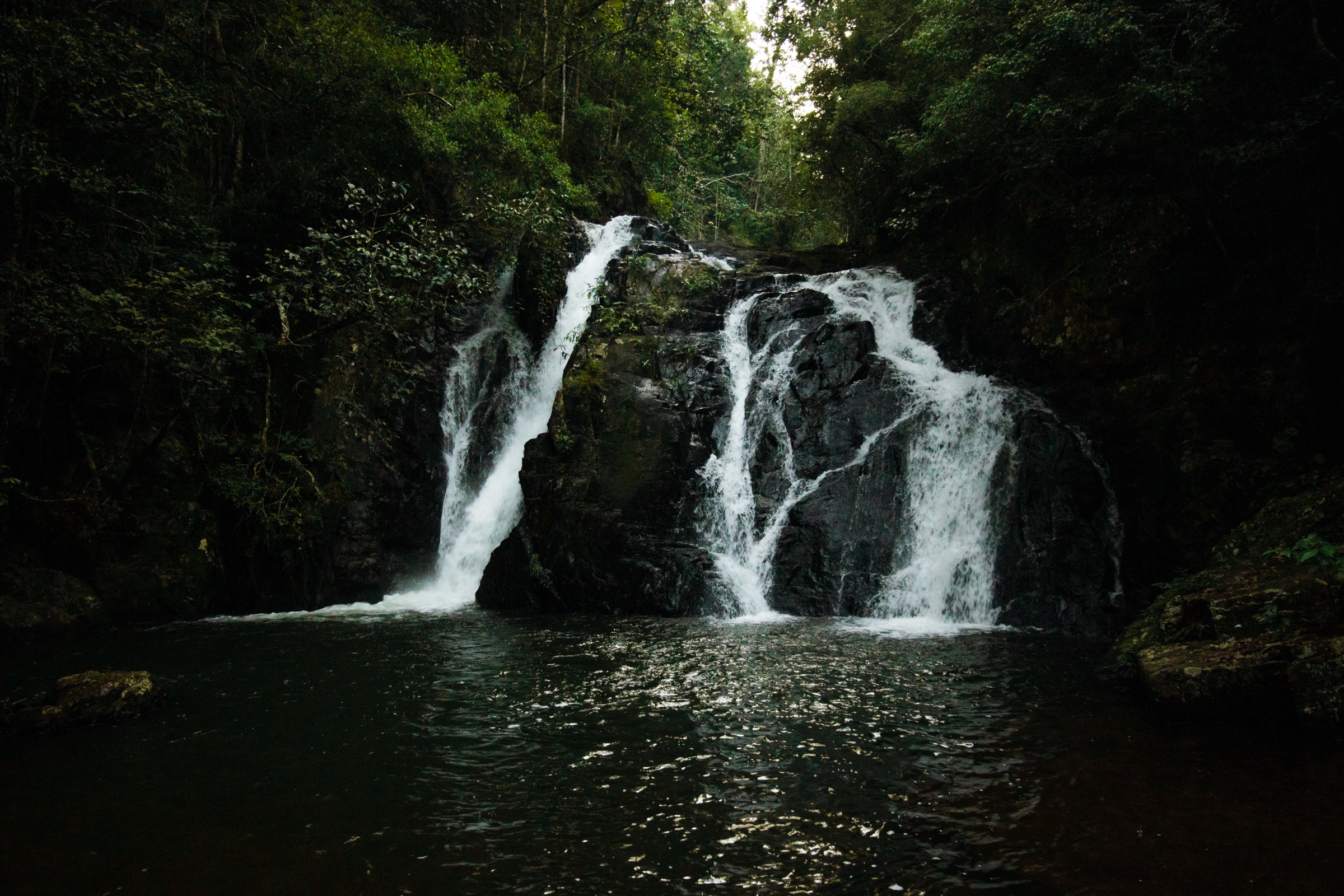 Dinner Falls sur les sources de la Barron River, Mount Hypipamee National Park