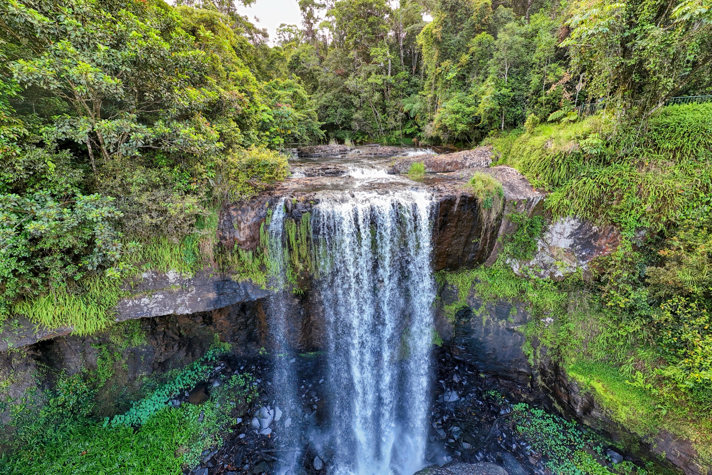Zillie Falls sur le Waterfall Circuit près de Millaa Millaa