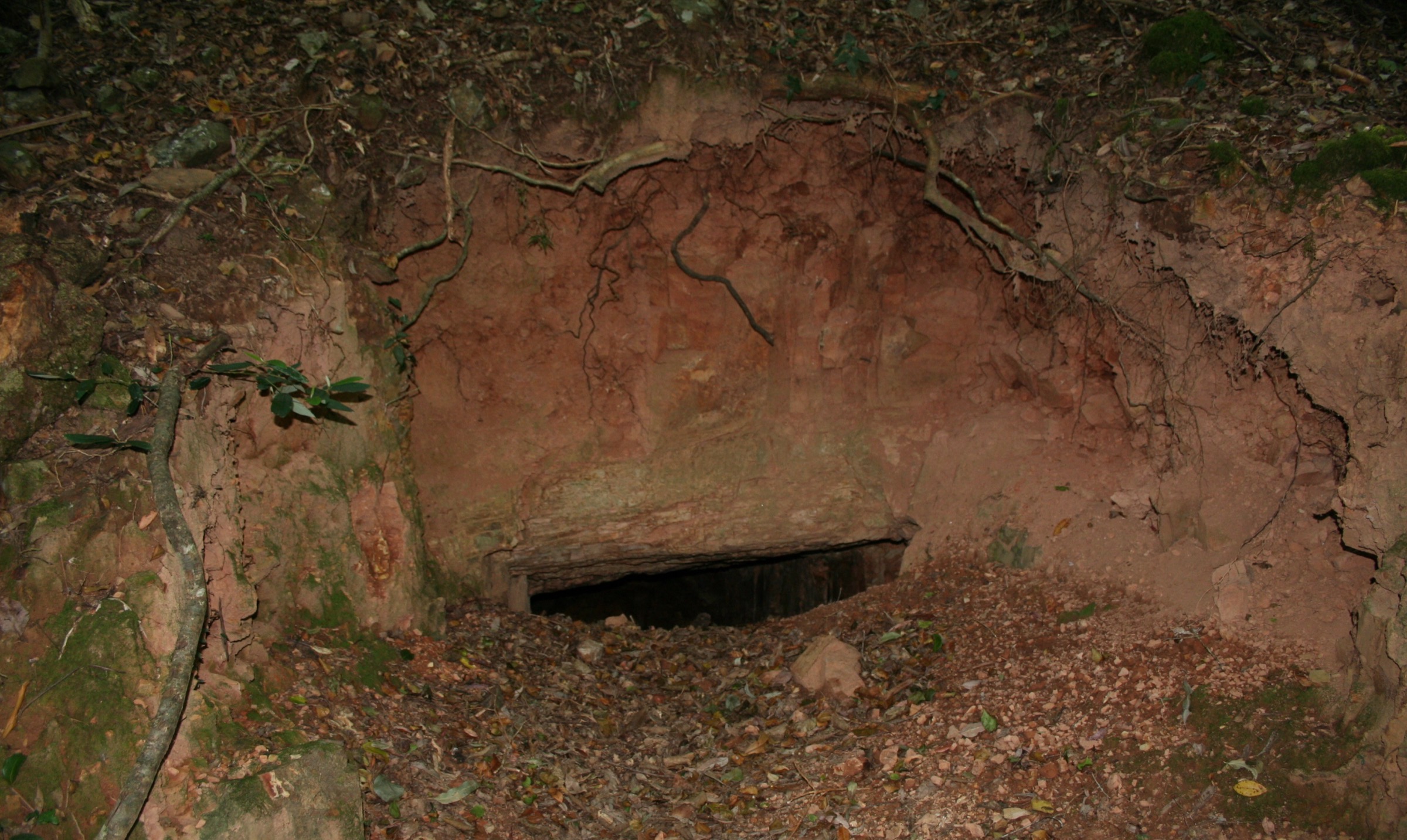 Historic gold-mining site on the Basin Loop track at Copeland Tops