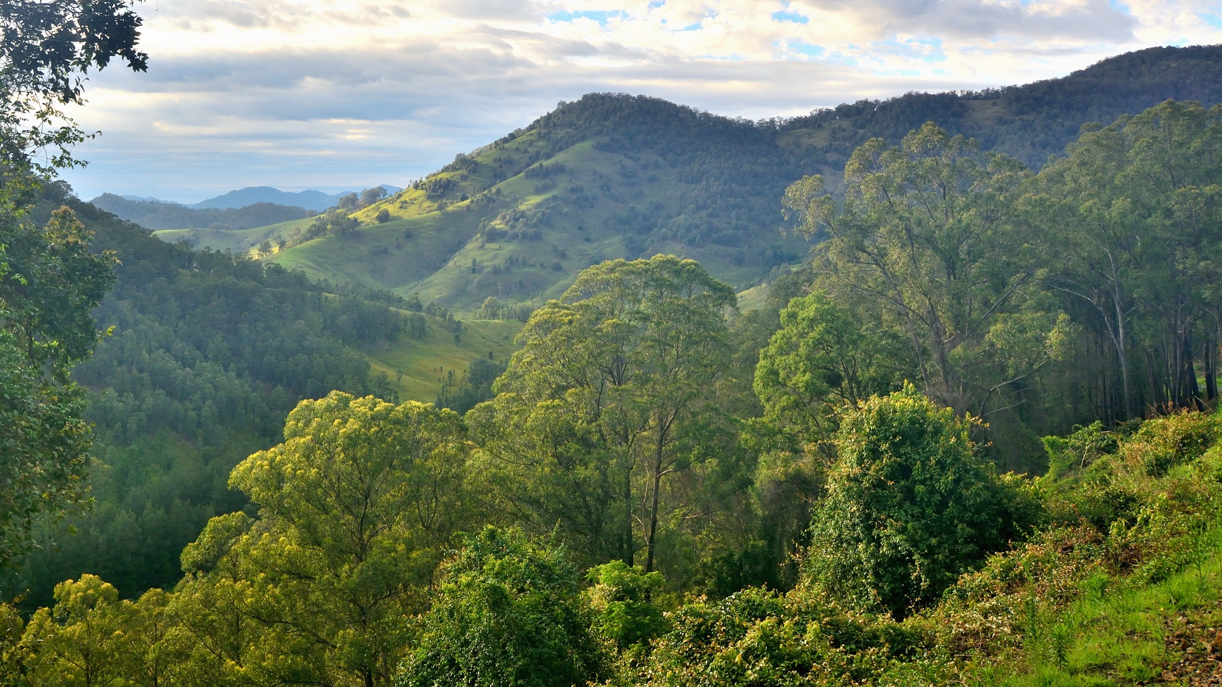 Australie — Barrington Tops : randonnées journée