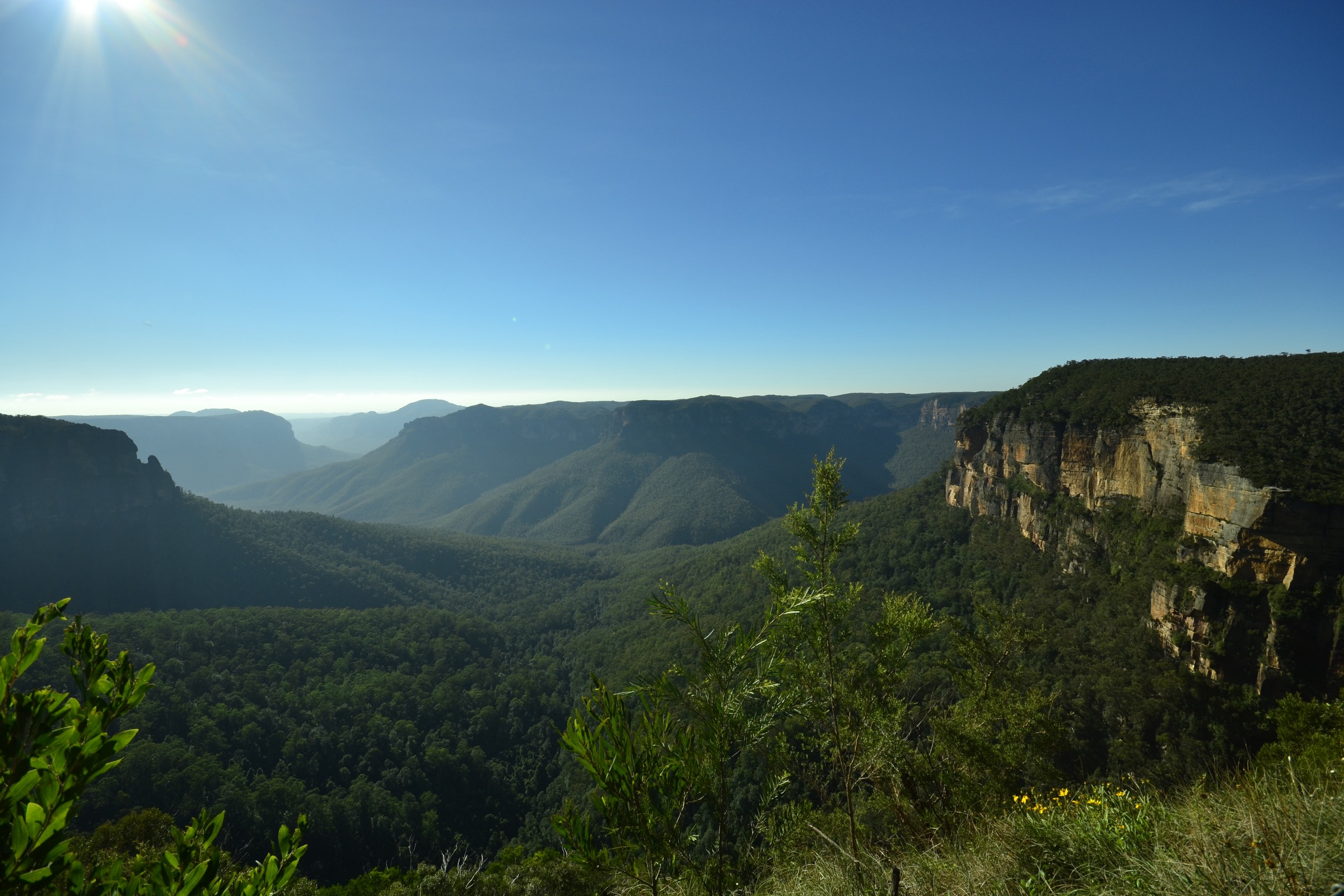 Vue depuis Evans Lookout sur la haute Grose Valley près du Grand Canyon Track