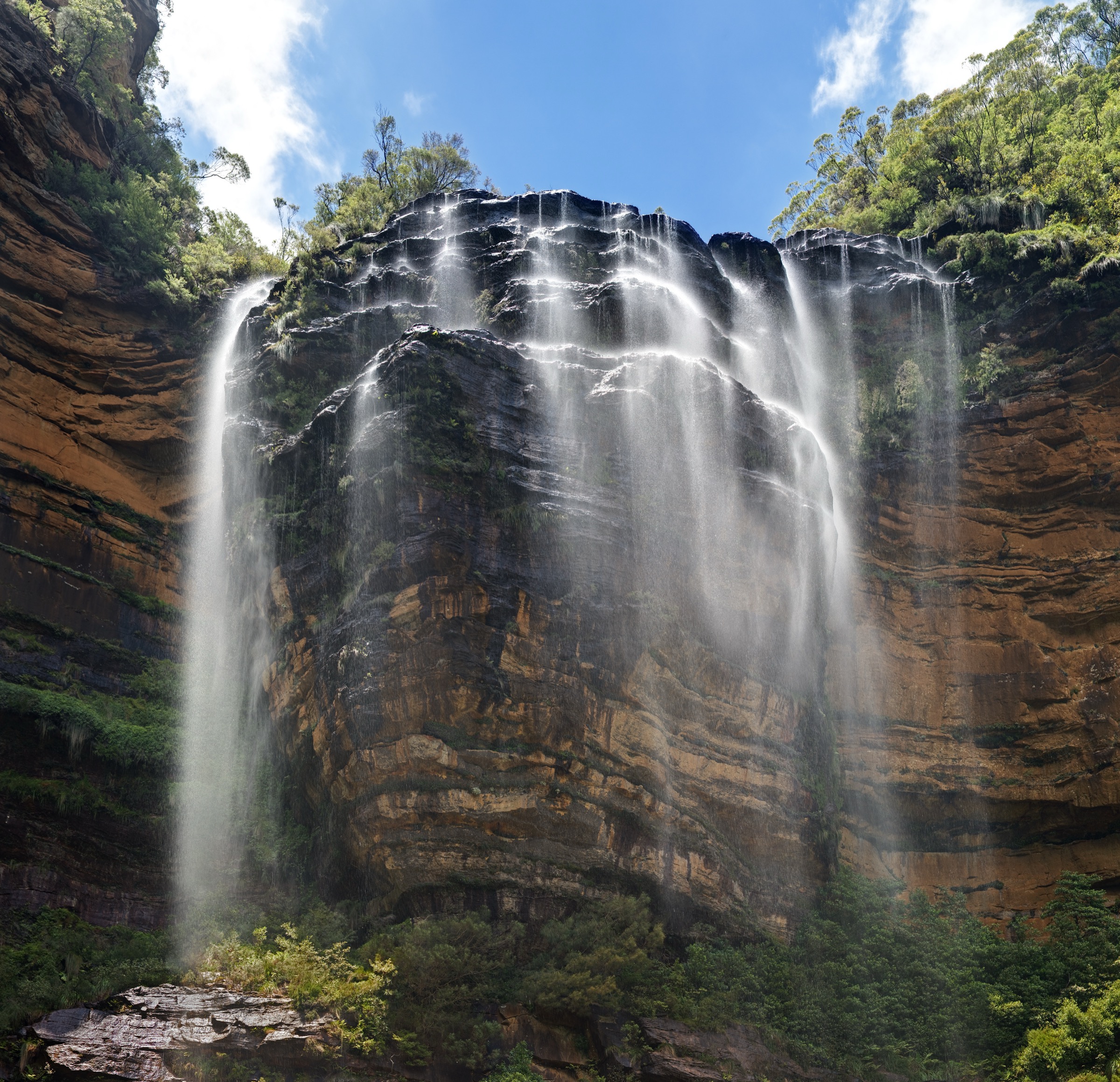 Chute supérieure de Wentworth Falls plongeant dans la Jamison Valley