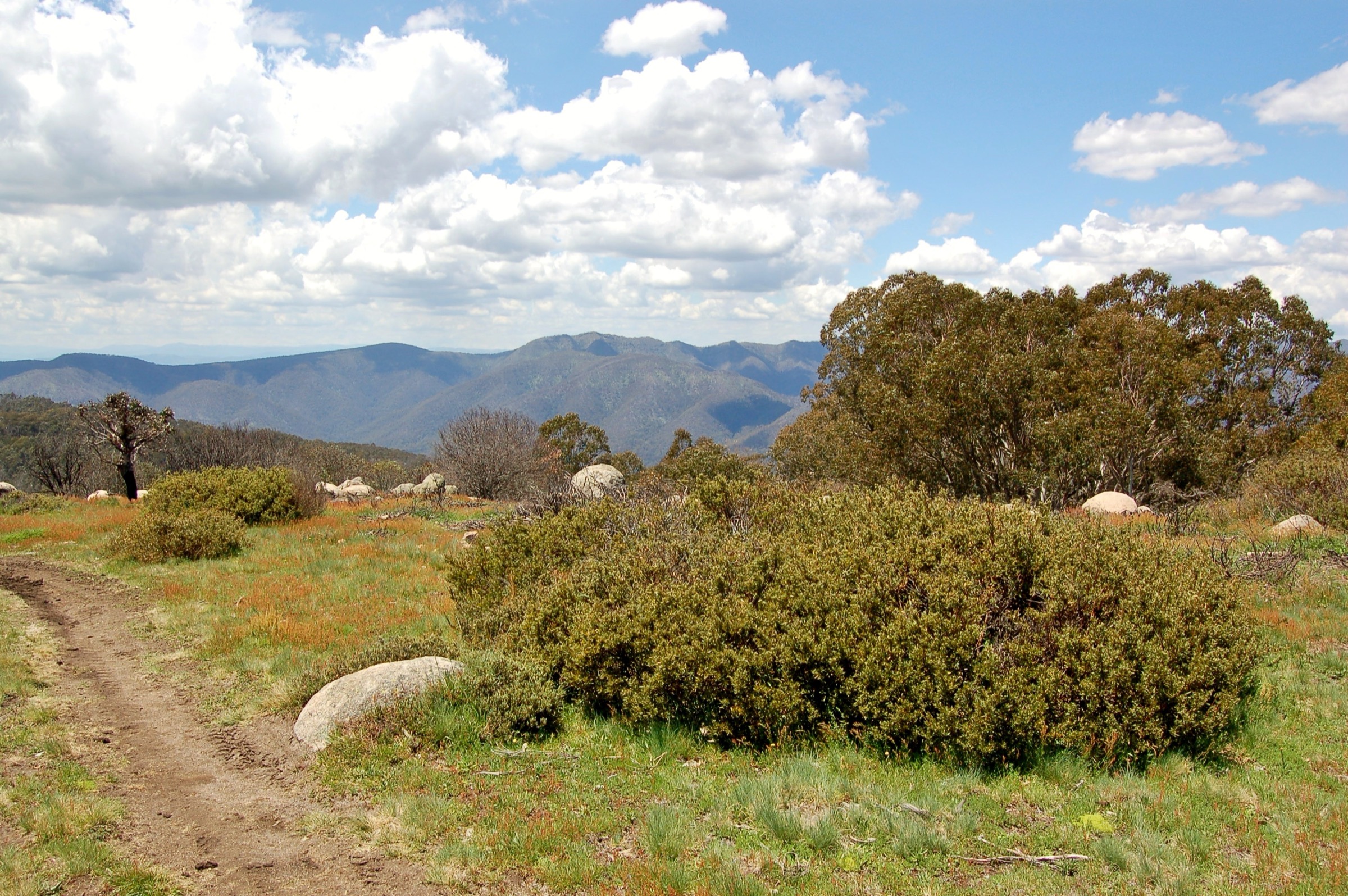 Vue depuis le Mount Stirling sur le Victorian High Country