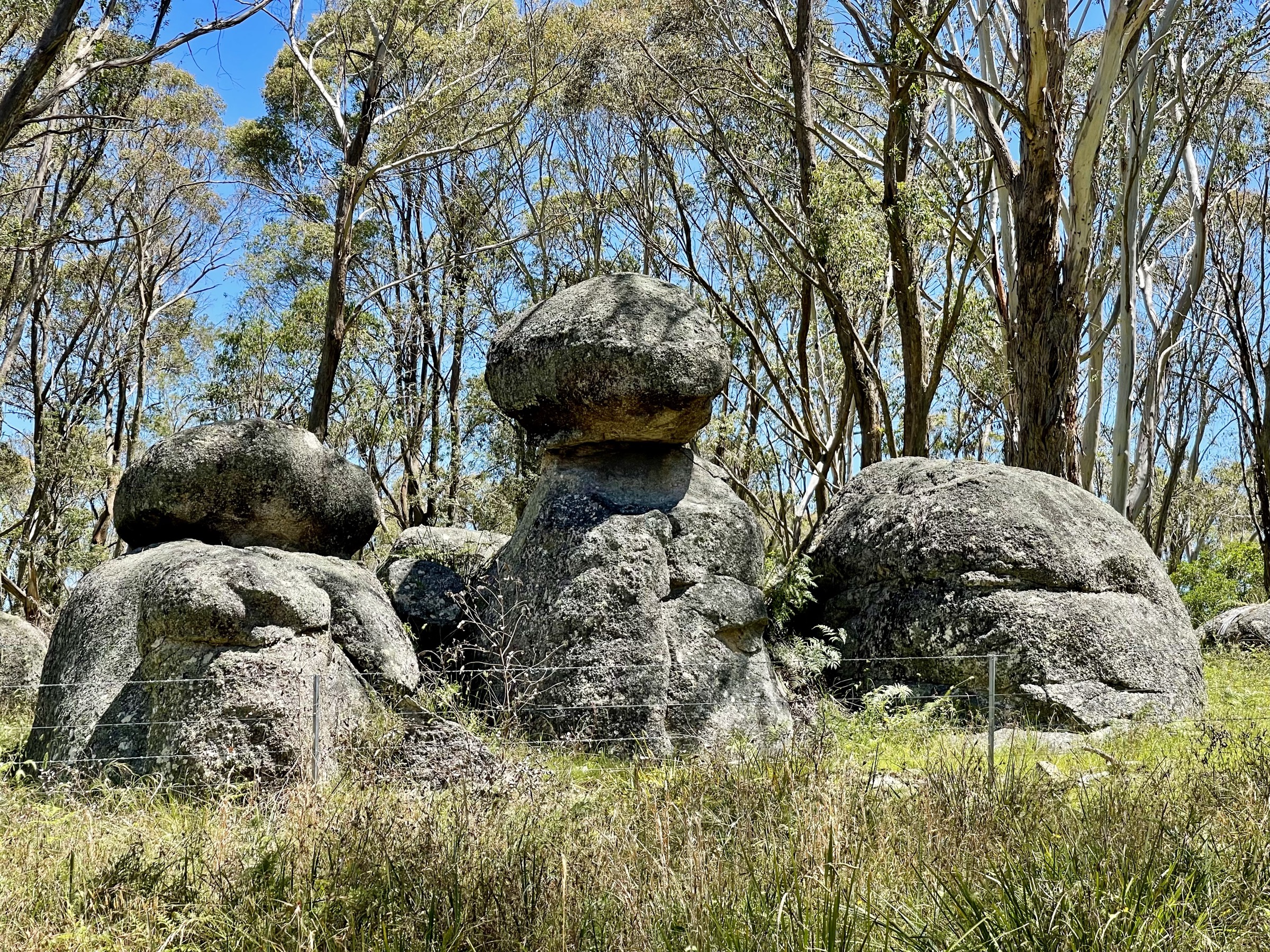 Granite tors and boulders in Gibraltar Range National Park, northern New South Wales