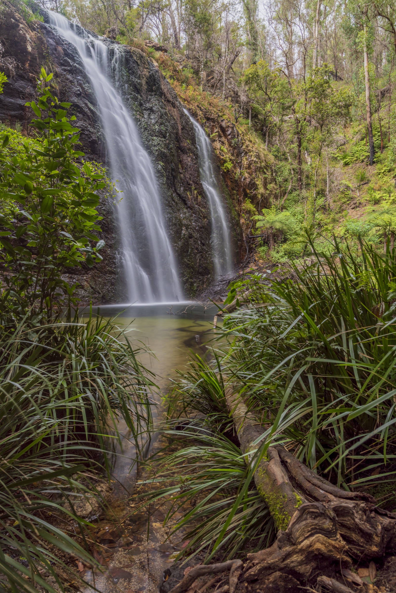 Boundary Falls dropping into a rock pool in Gibraltar Range National Park, NSW