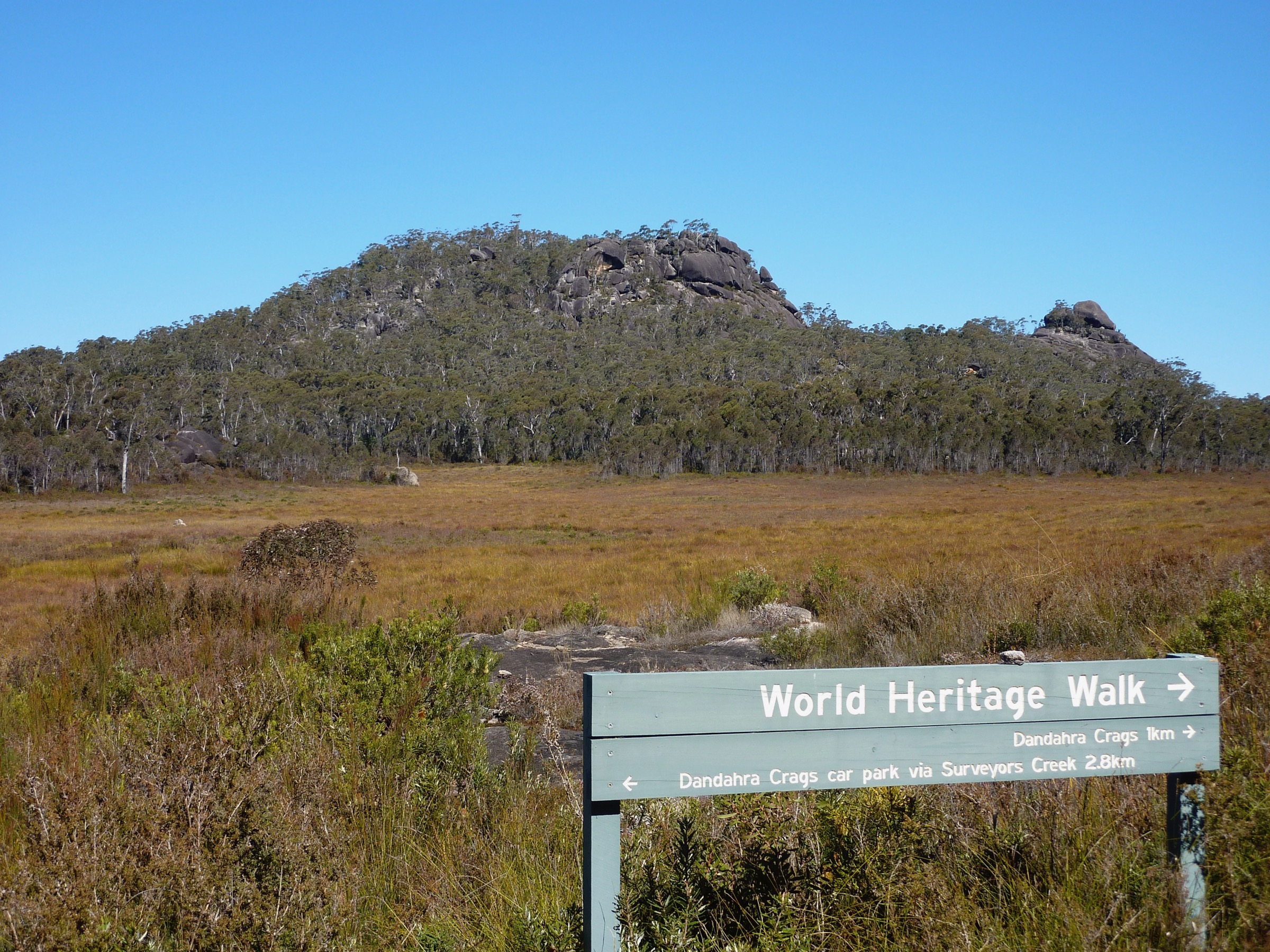 Dandahra Crags granite outcrops rising from swamp and forest, Gibraltar Range National Park, NSW