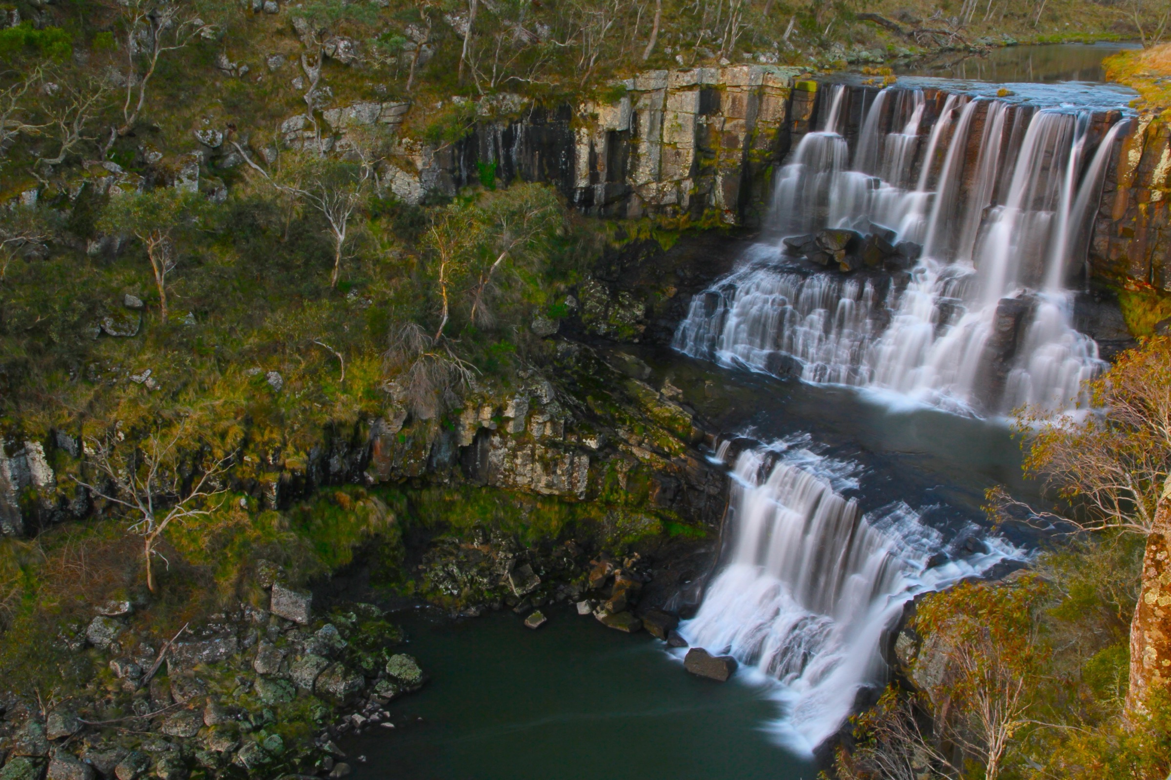 Ebor Falls plunging over basalt columns in Guy Fawkes River National Park, northern NSW