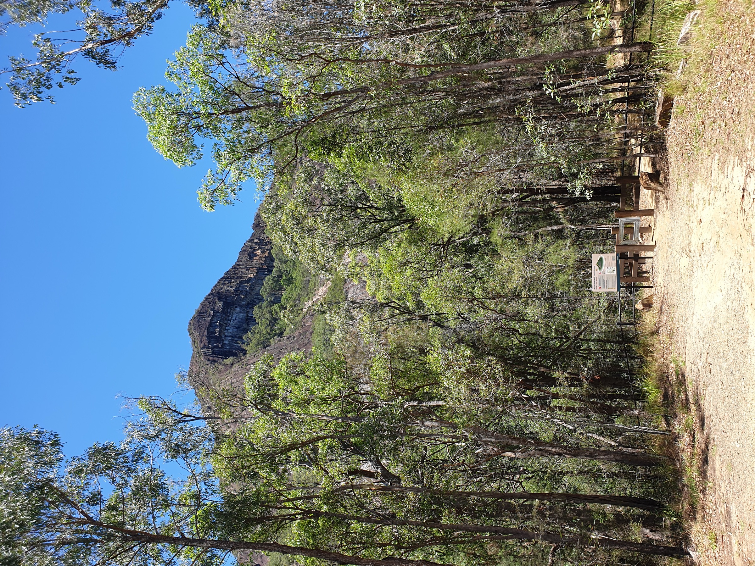 Entrée du Mount Beerwah walking-track et face sud du sommet