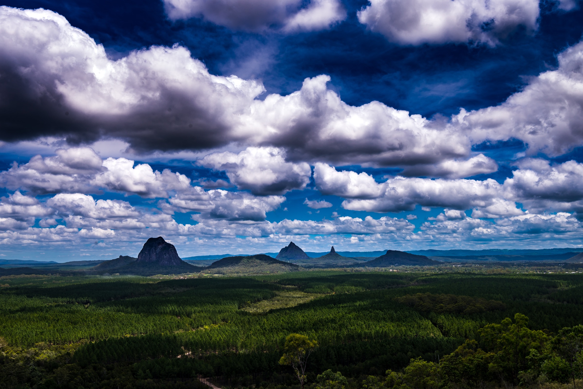Vue des Glass House Mountains depuis le Wild Horse Mountain Lookout