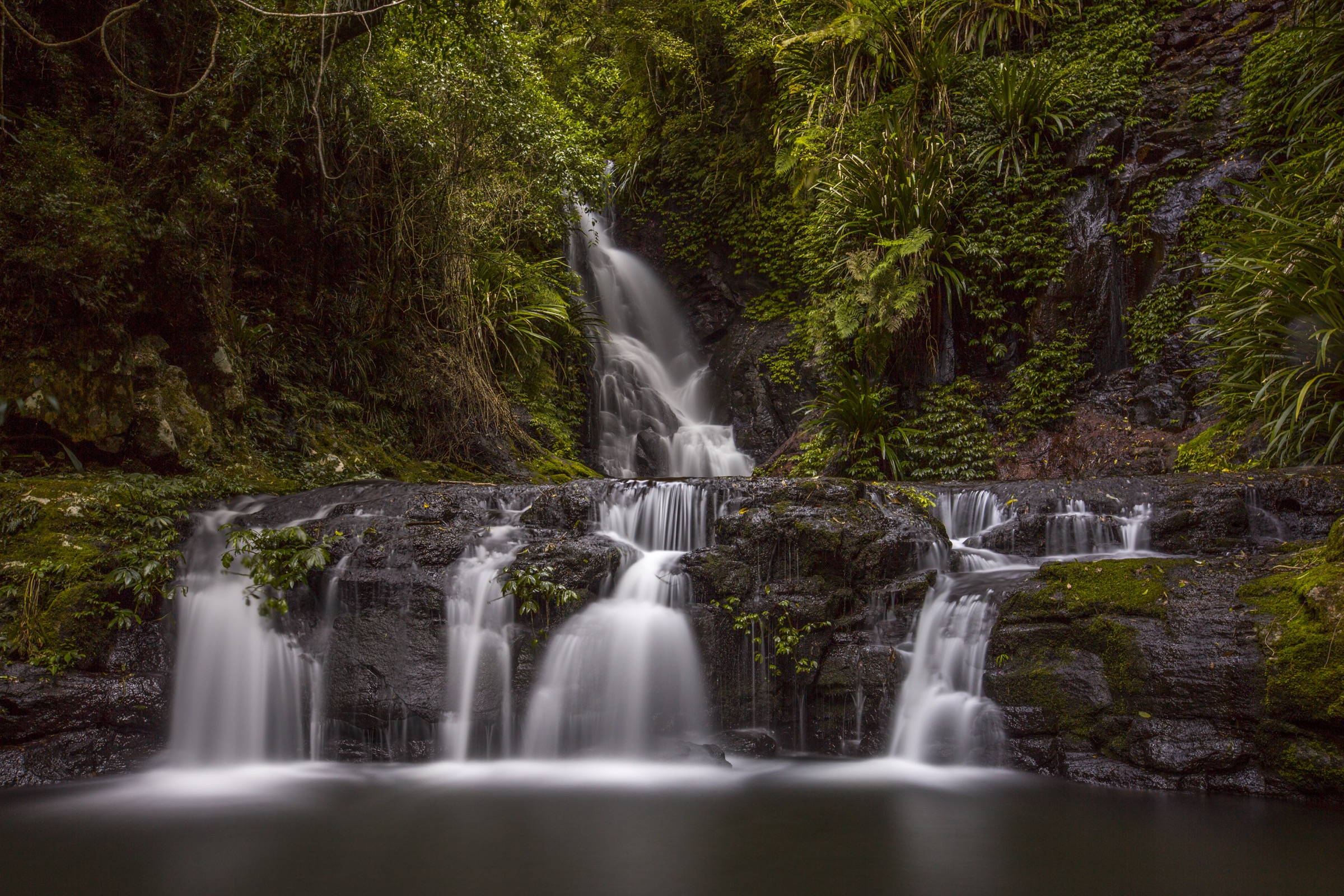 Elabana Falls dans le parc national de Lamington, Queensland, Australie