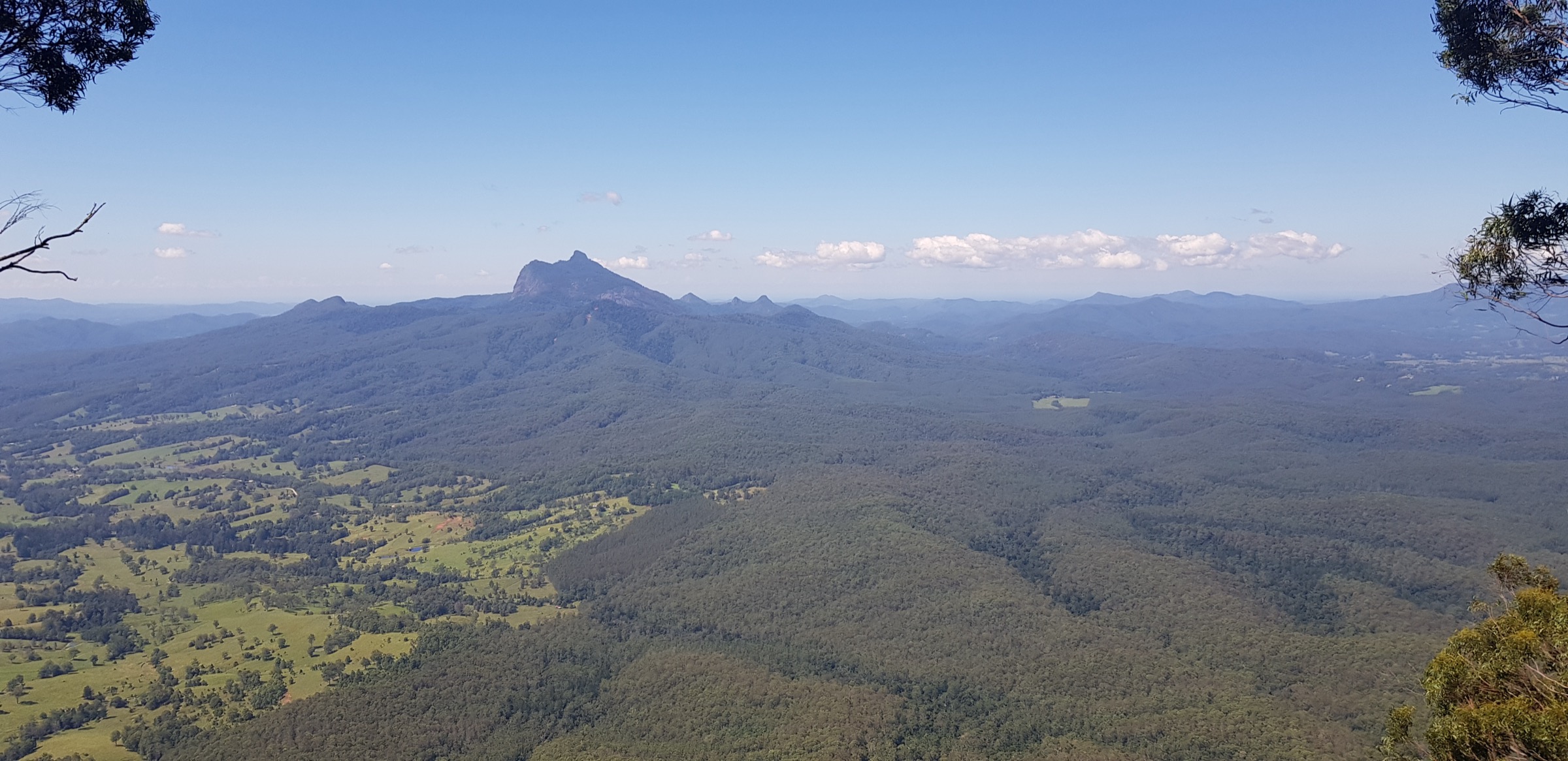 Wollumbin (Mount Warning) vu depuis le Pinnacle Lookout dans le parc national des Border Ranges, NSW, Australie