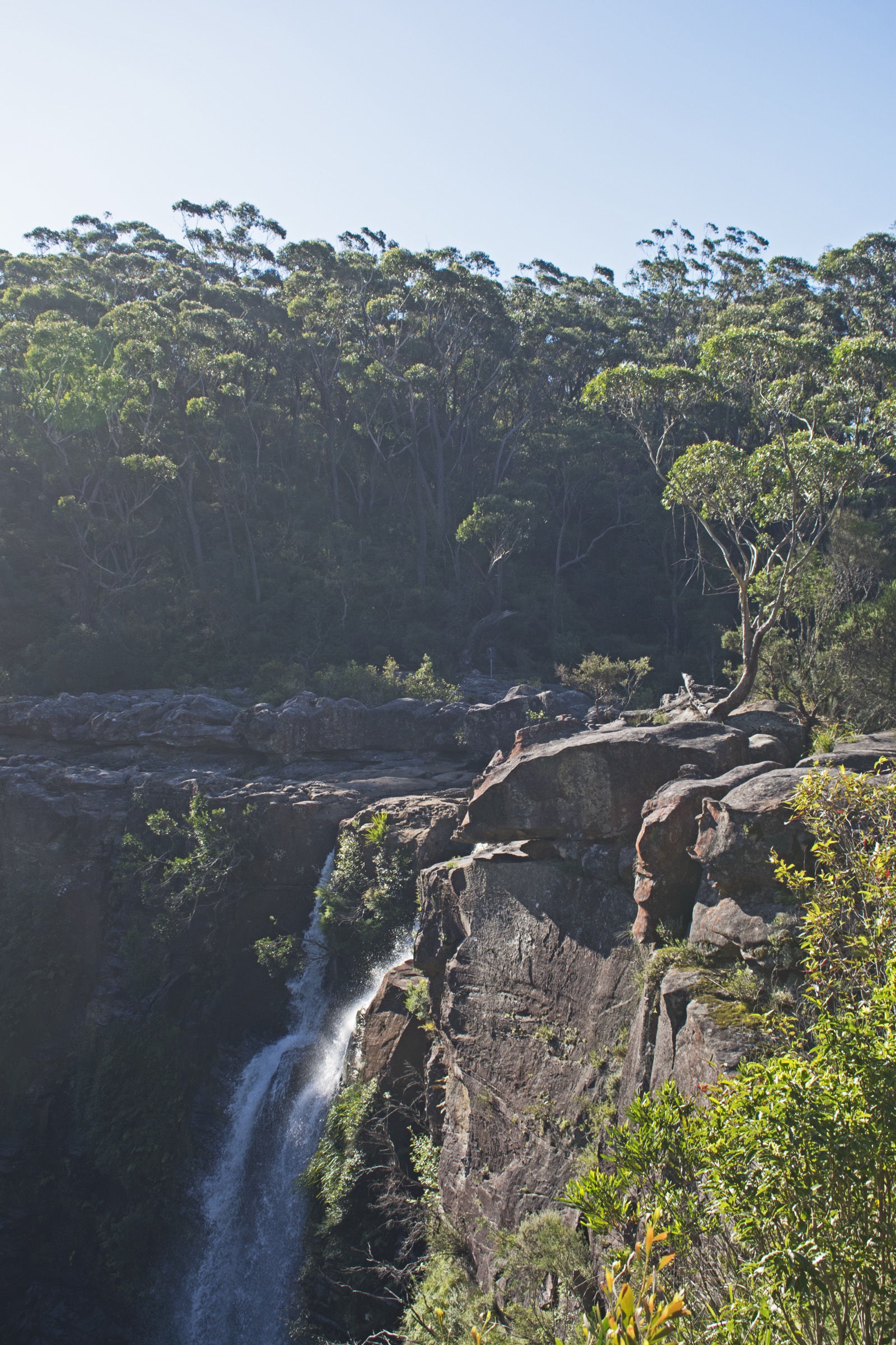 Carrington Falls dropping into the Kangaroo River gorge in Budderoo National Park