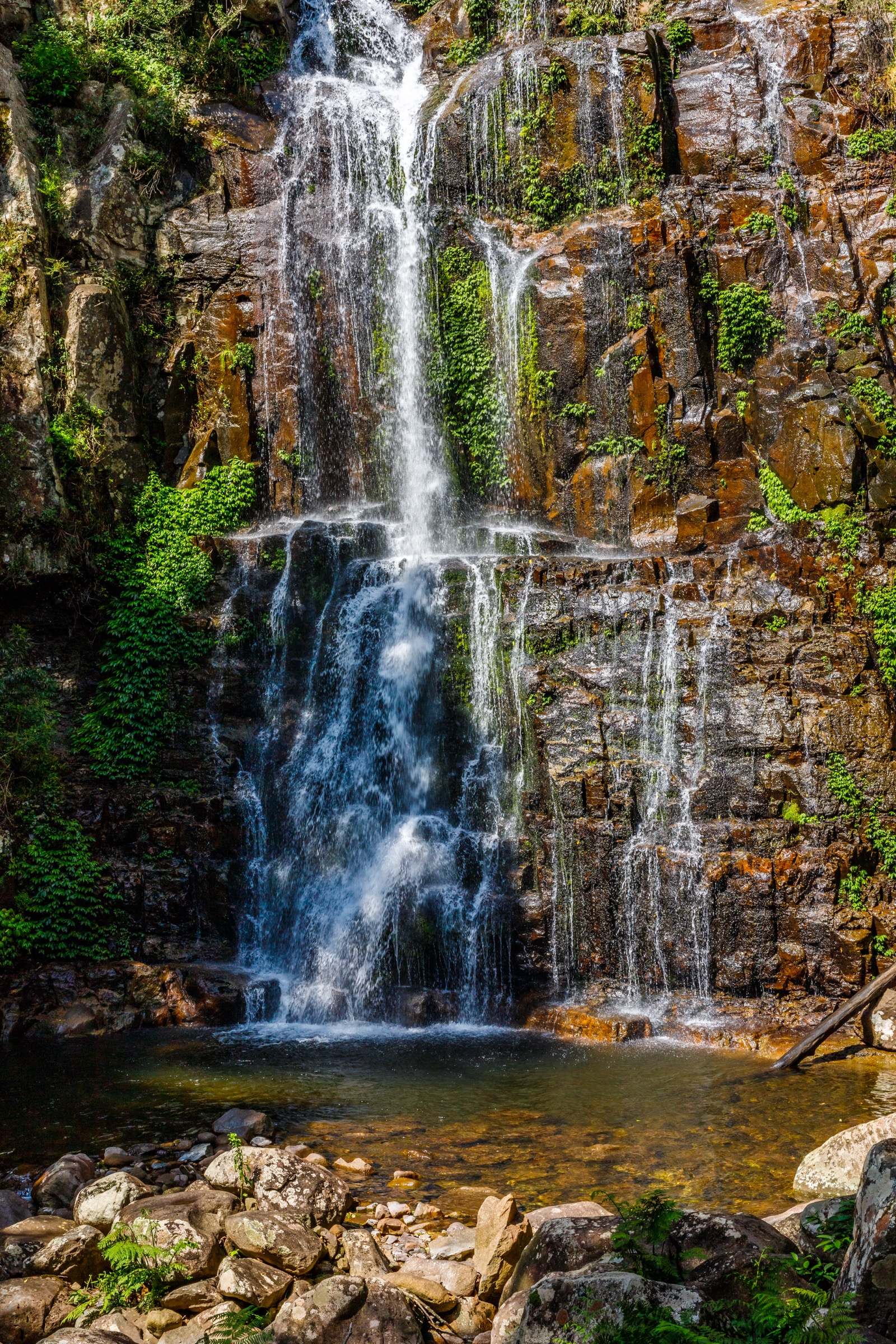 Minnamurra Falls in Budderoo National Park