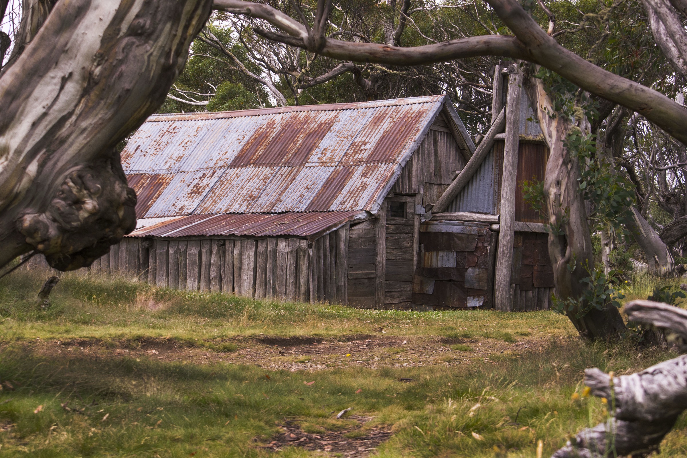 Wallace's Hut on the Bogong High Plains, oldest surviving hut in the Victorian Alps
