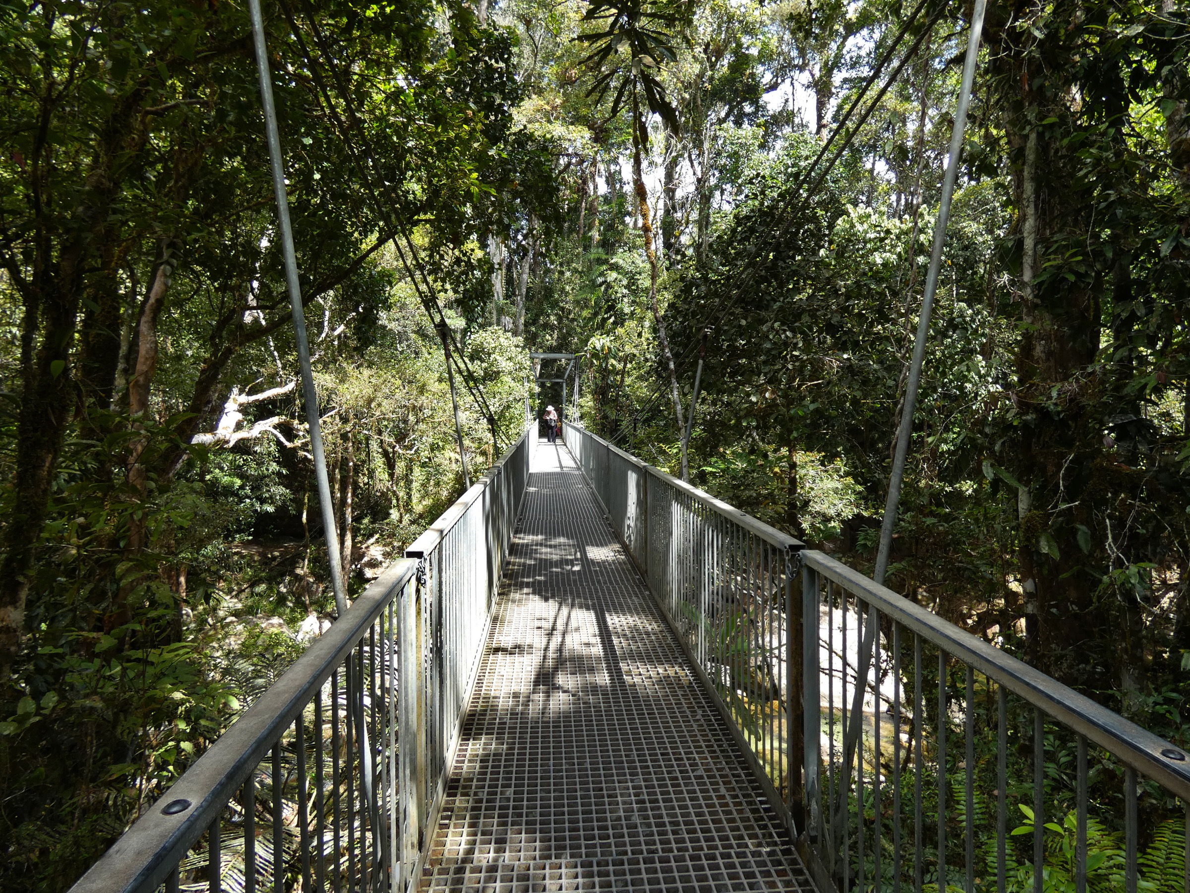 Australia — Wet Tropics / Far North Queensland: day-hikes