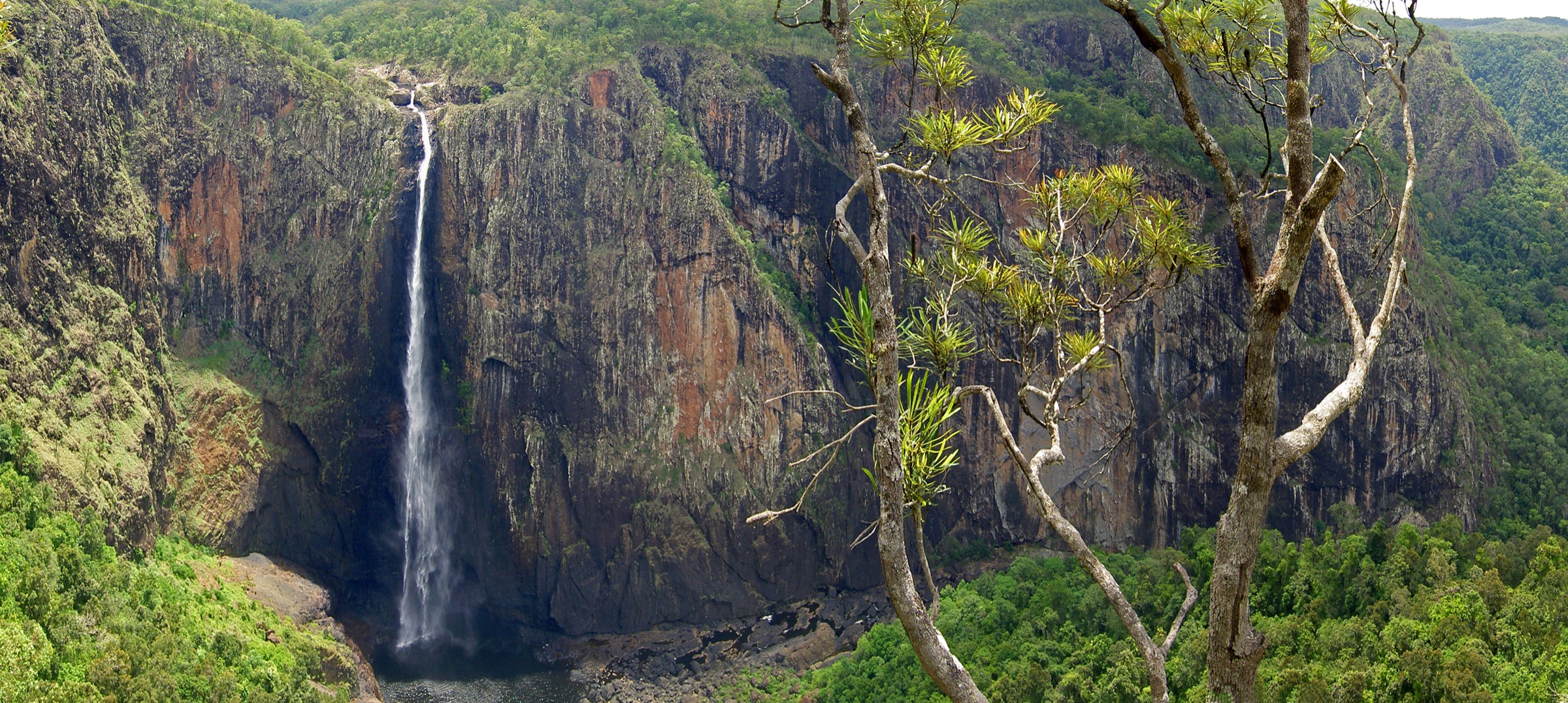 Wallaman Falls plunging 268 metres into Stony Creek gorge, Girringun National Park