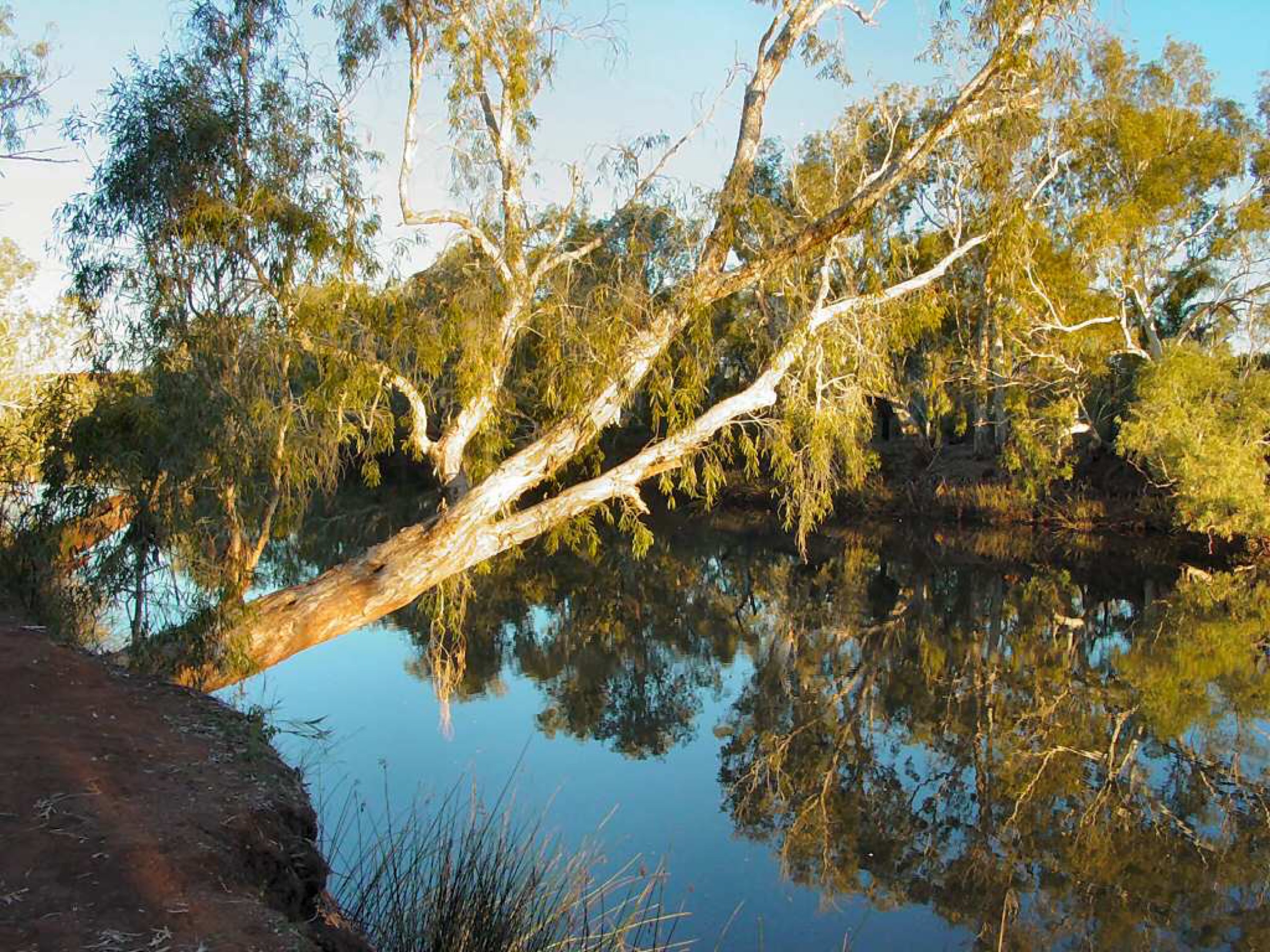 Crossing Pool sur la Fortescue River, Millstream