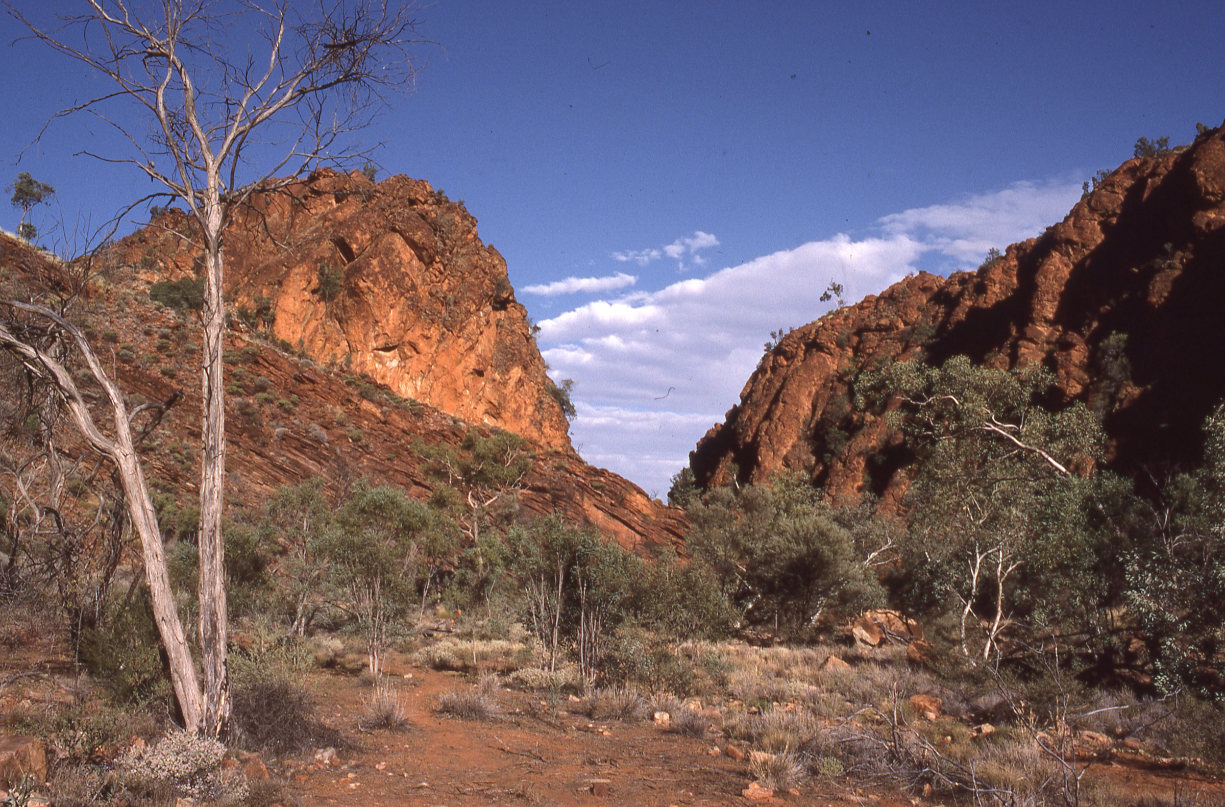 Australie — East MacDonnell Ranges : randonnées journée