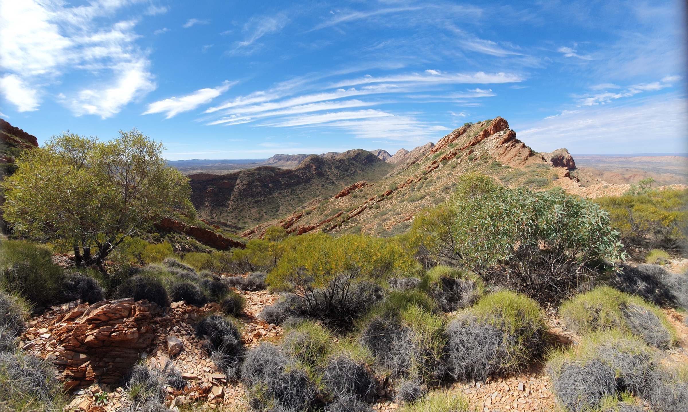 Le Larapinta Trail montant la crête de quartzite vers Brinkley Bluff sur la Section 4, West MacDonnell Ranges