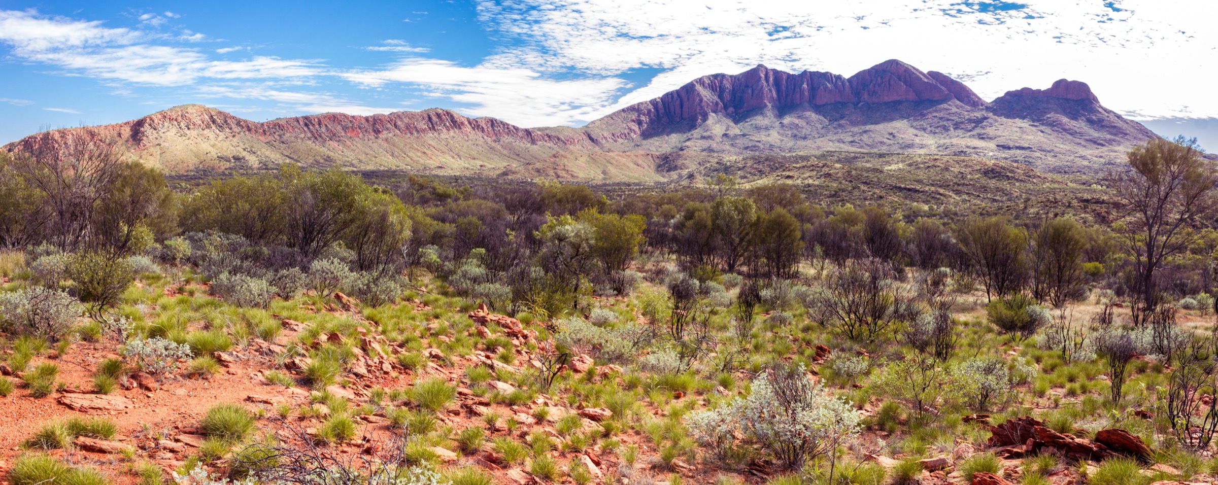 Australie — Corridor du Larapinta Trail : randonnées journée