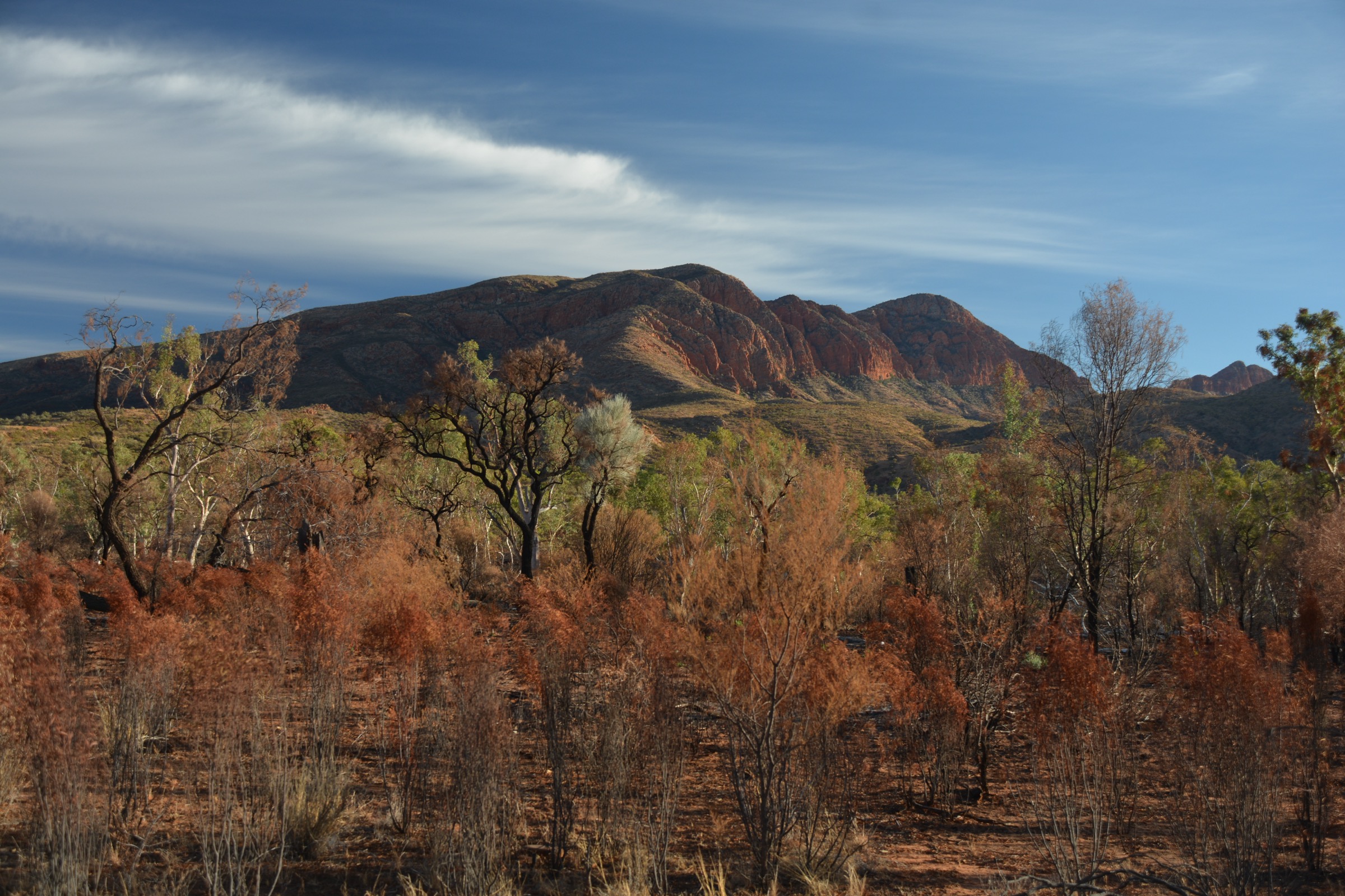 La zone sommitale du Mt Sonder (Rwetyepme) sur le Larapinta Trail, West MacDonnell Ranges, Territoire du Nord