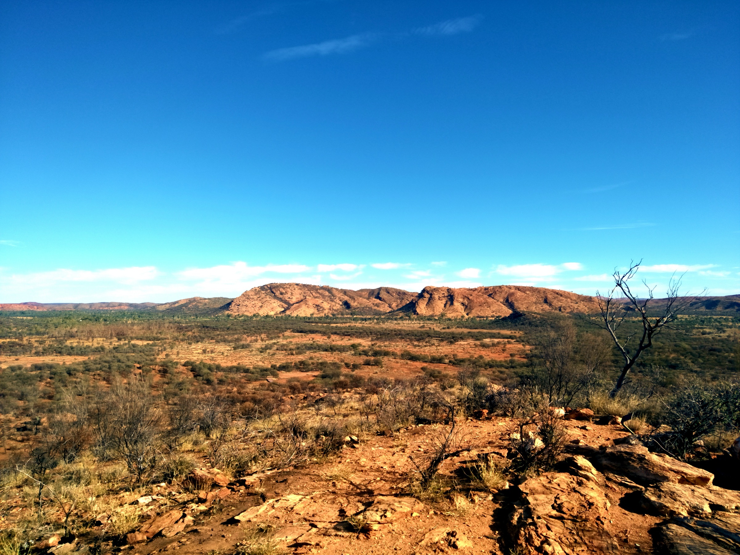 View from the top of Cassia Hill towards the Larapinta valley, near Simpsons Gap