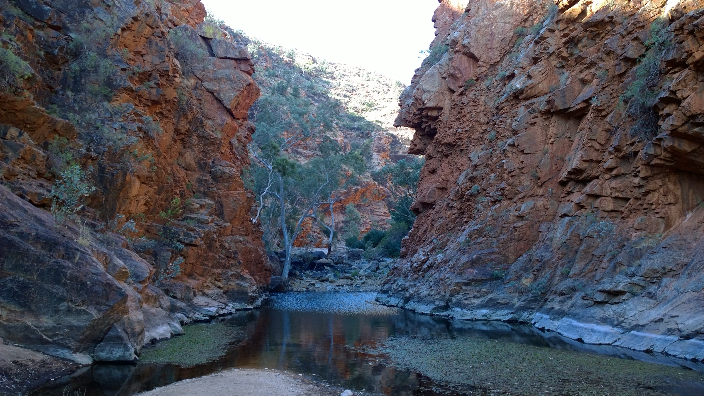 Serpentine Gorge, Tjoritja / West MacDonnell National Park
