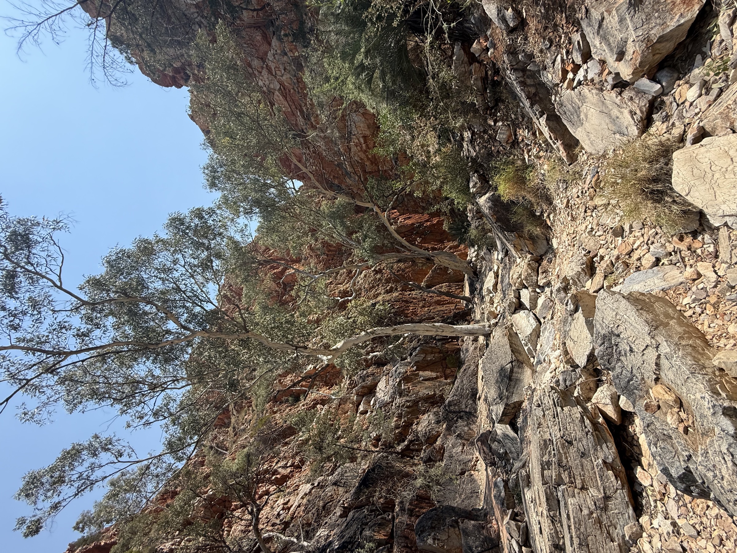 Sunlit quartzite walls of Standley Chasm / Angkerle Atwatye near midday
