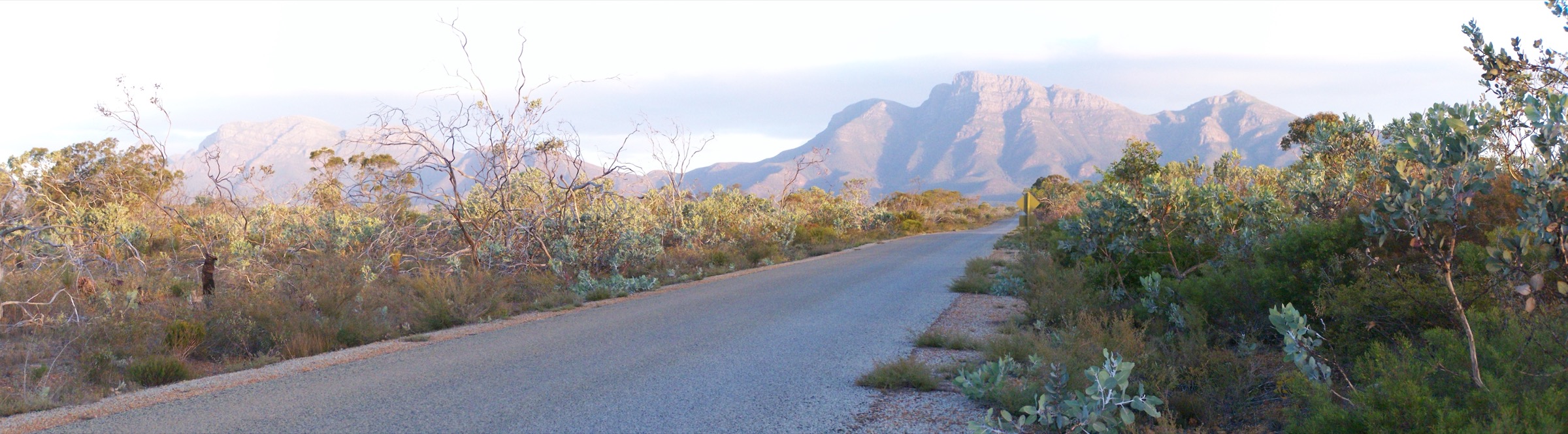 Panorama depuis le sommet de Bluff Knoll, parc national de Stirling Range