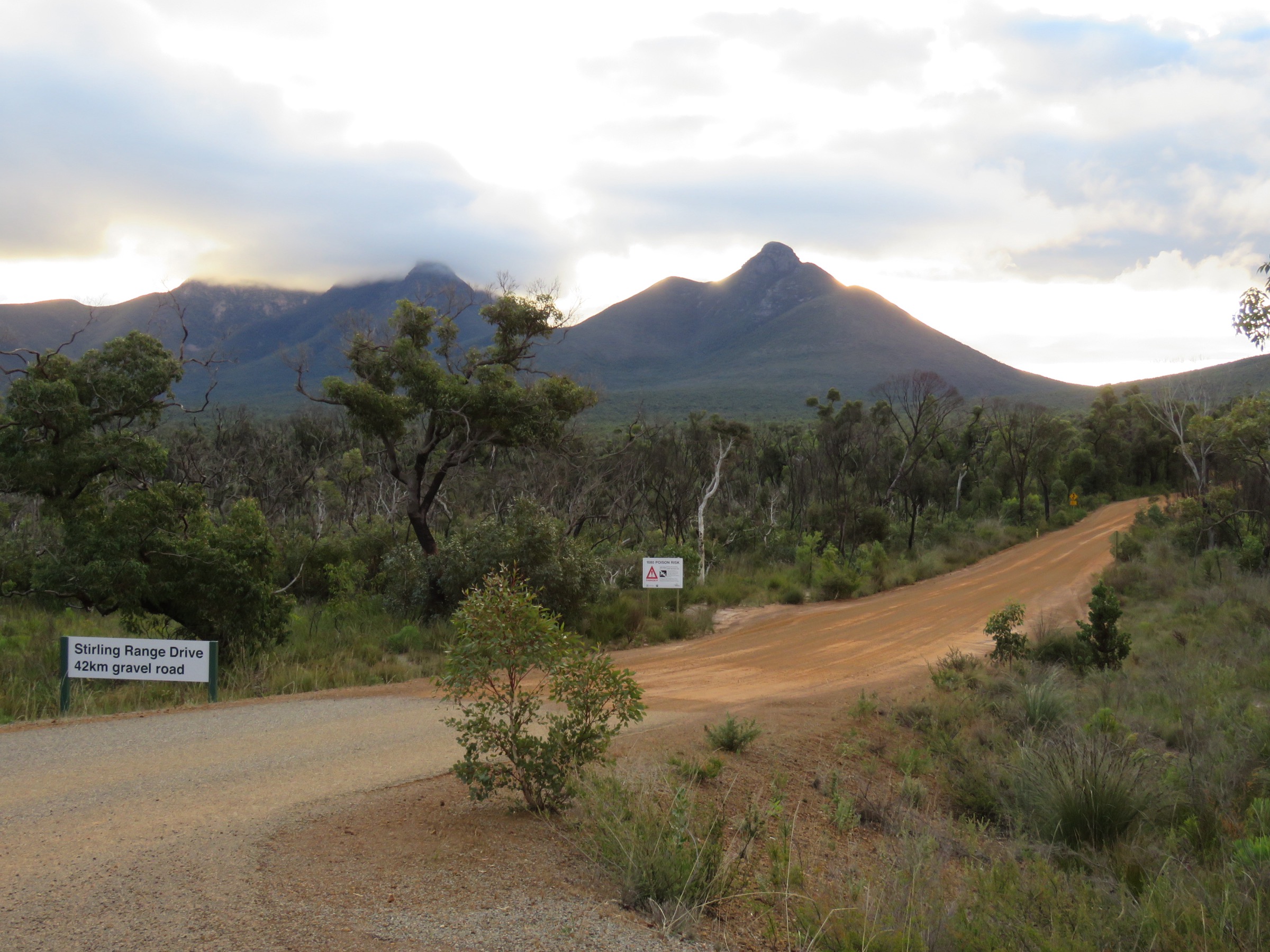 La Stirling Range Drive, route panoramique non revêtue à travers la Stirling Range occidentale