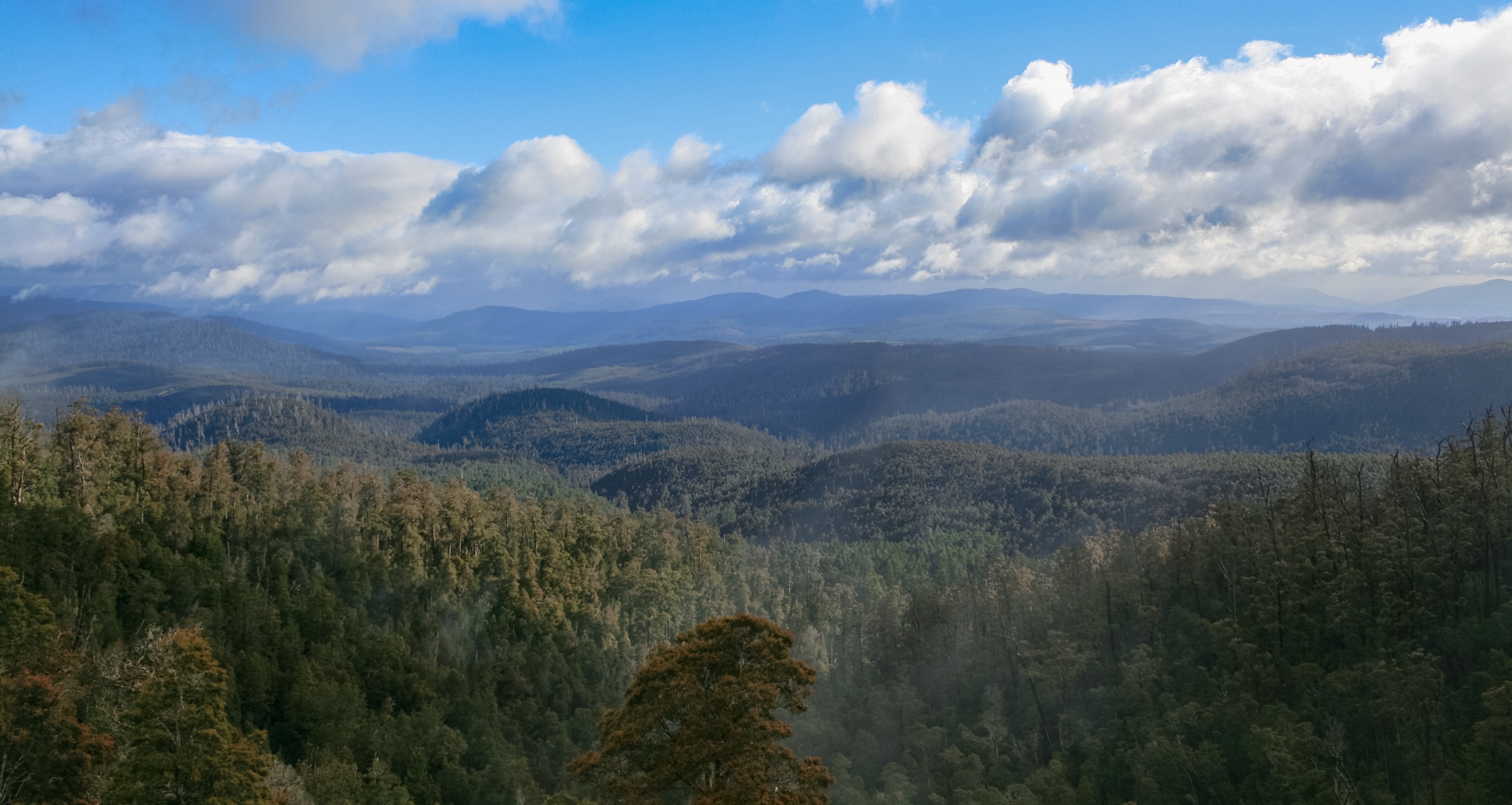 Australie — Hartz Mountains : randonnées journée