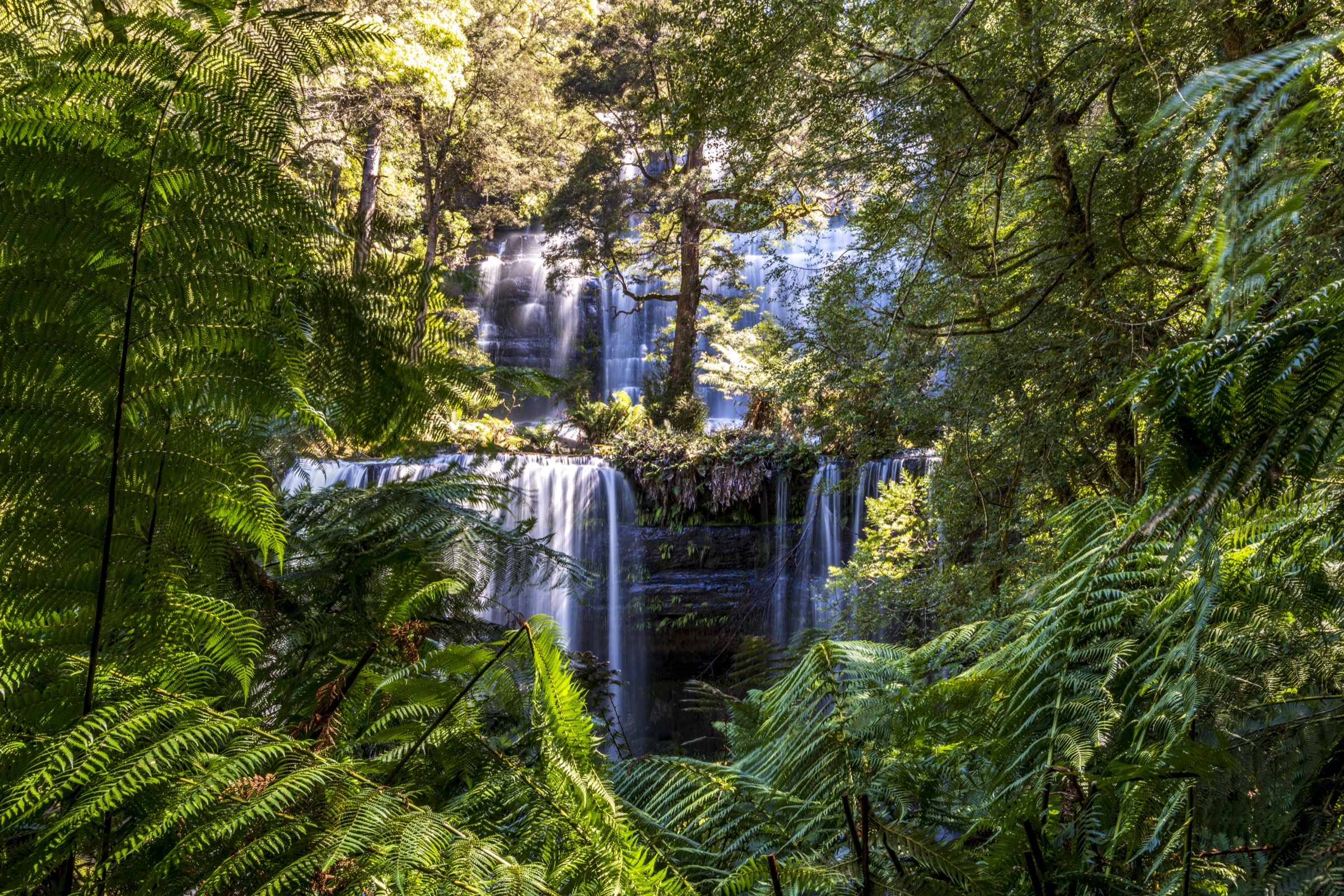 Australie — Mount Field et vallée de la Florentine