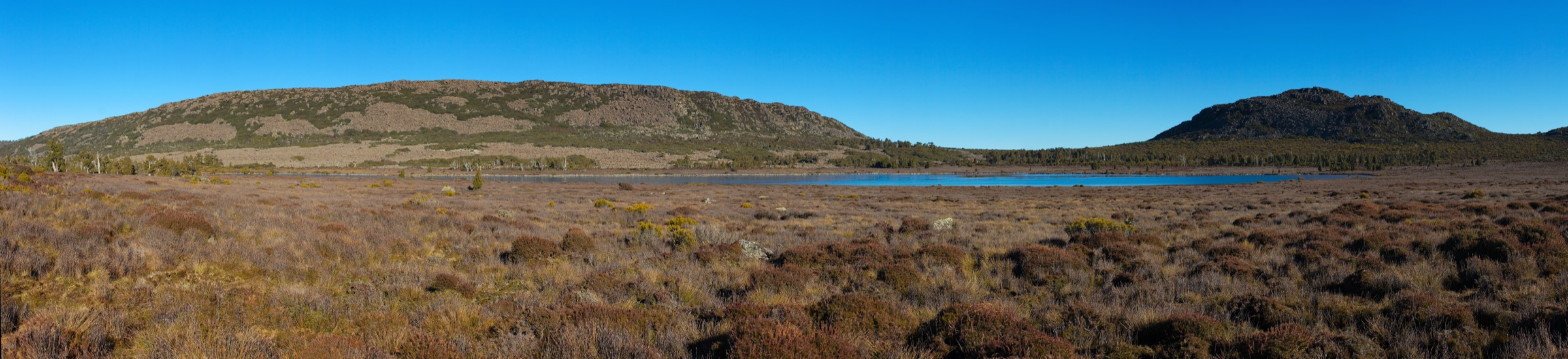 Pine Lake sur le Central Plateau, avec pins-crayons et lacs de dolérite